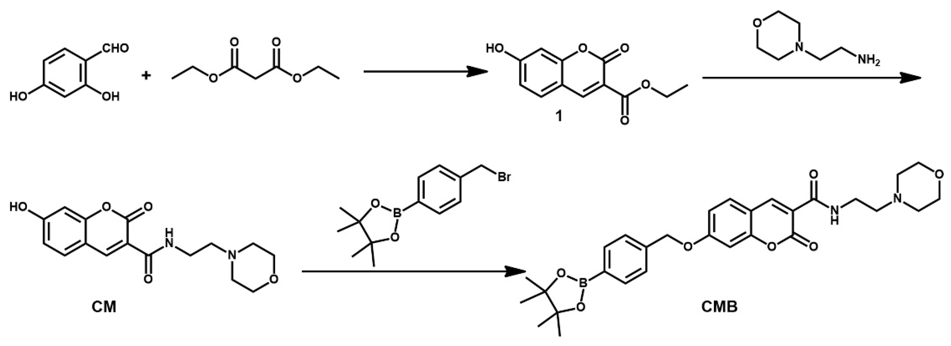 Molecules 26 03352 sch002 Molecules 26 03352 sch002