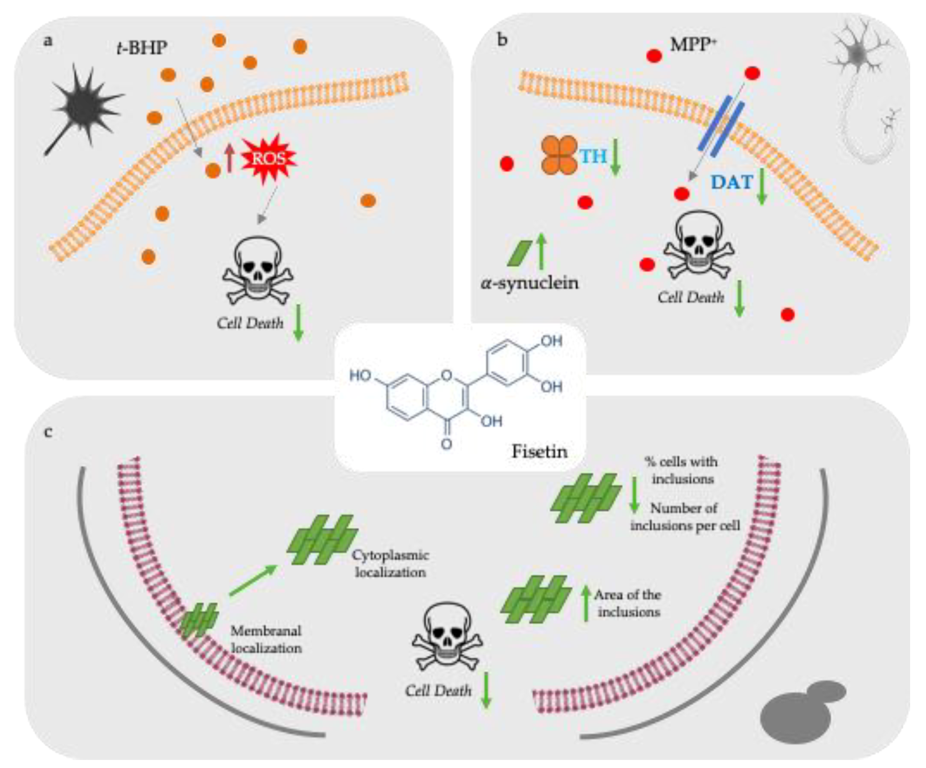 Molecules 26 03353 g004 Molecules 26 03353 g004