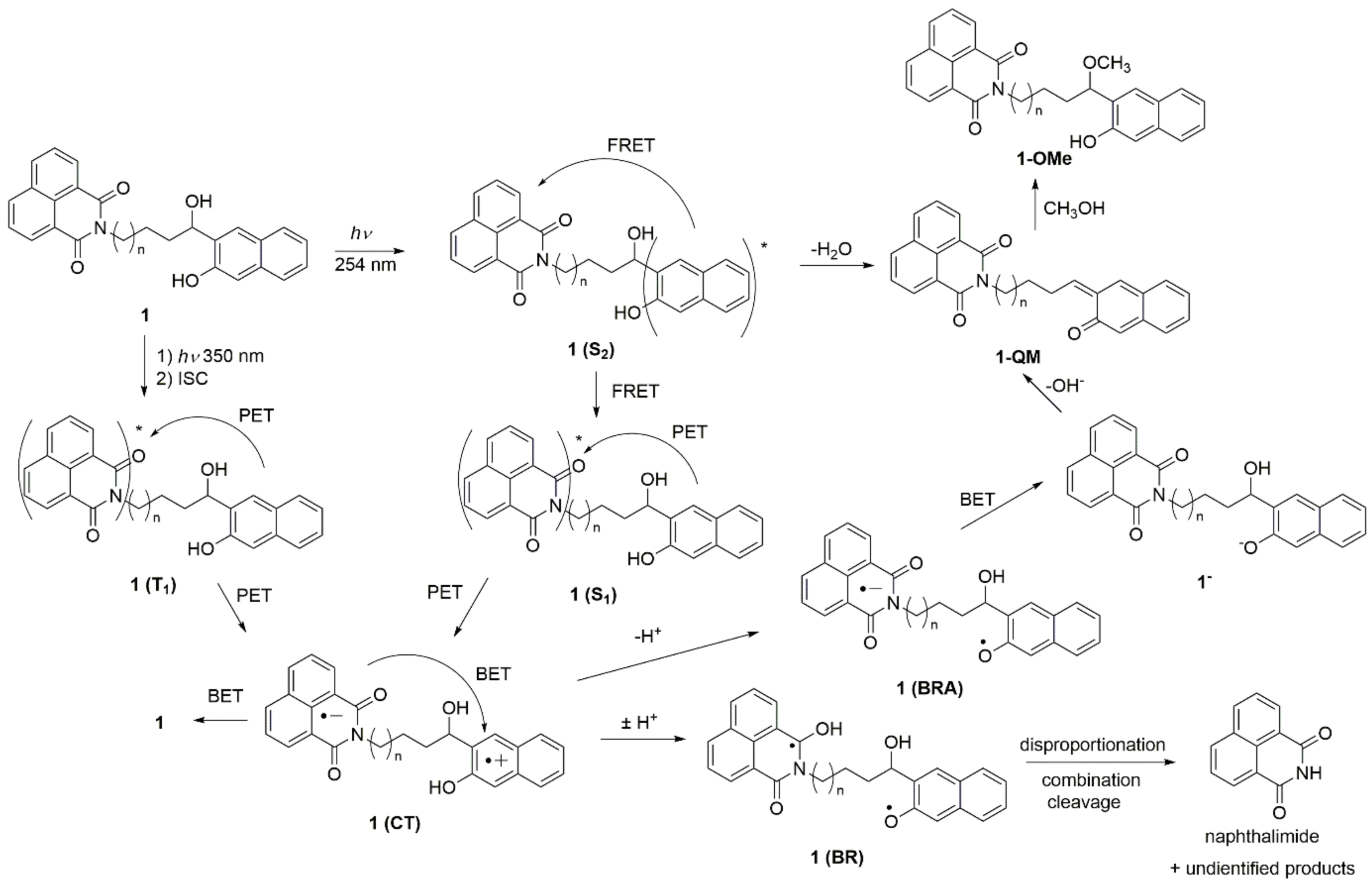 Molecules 26 03355 sch005