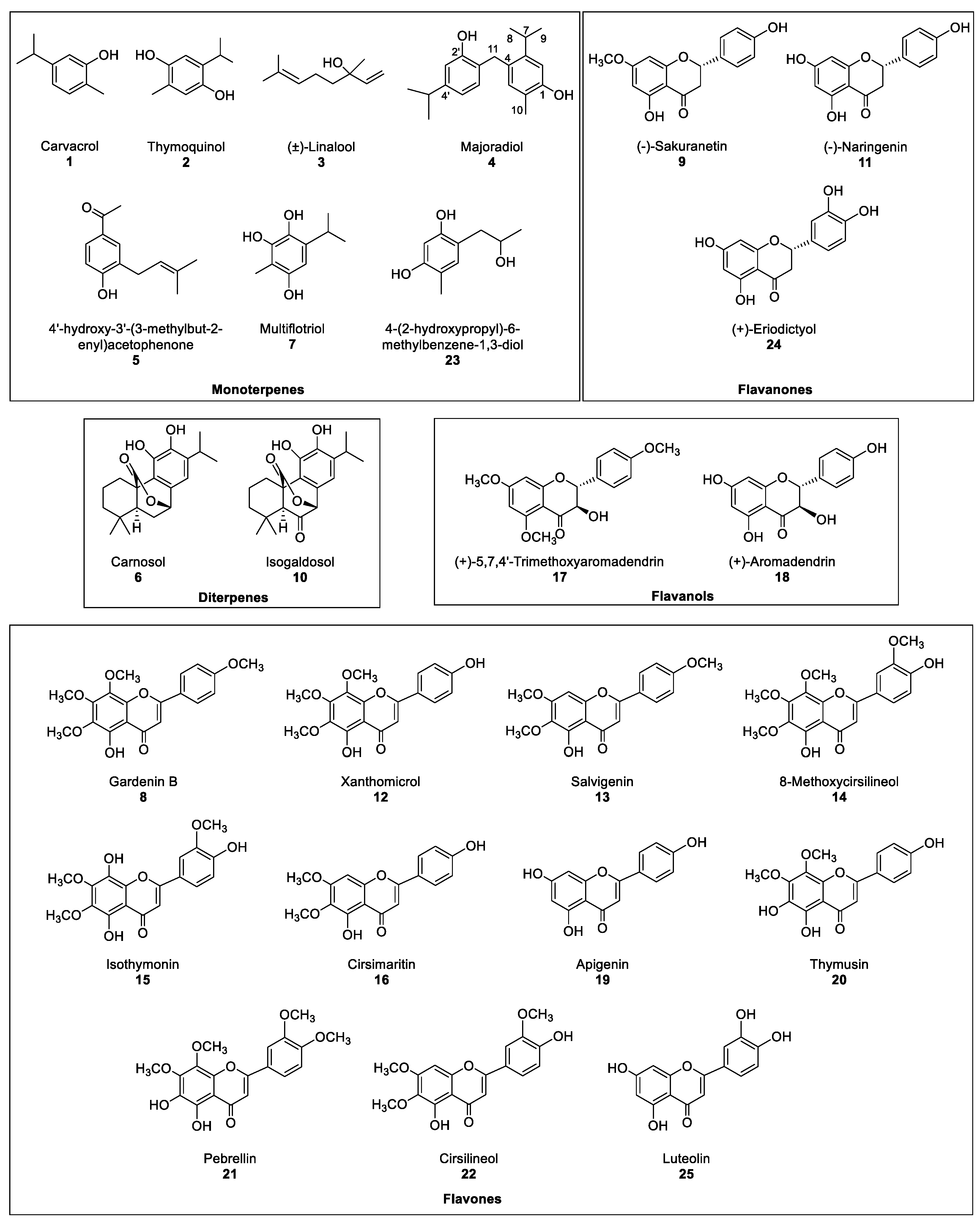 Molecules 26 03356 g002
