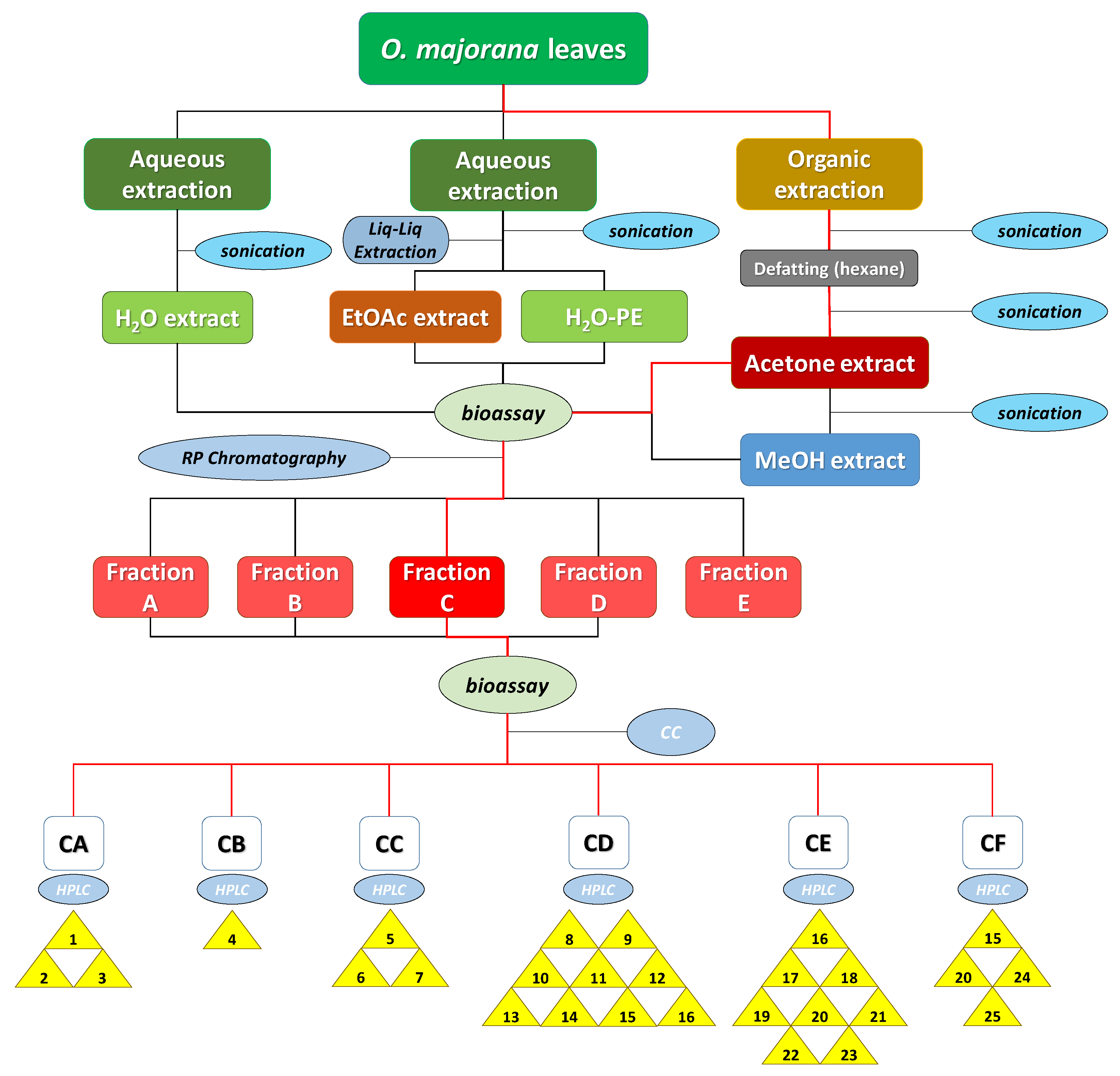 Molecules 26 03356 g003