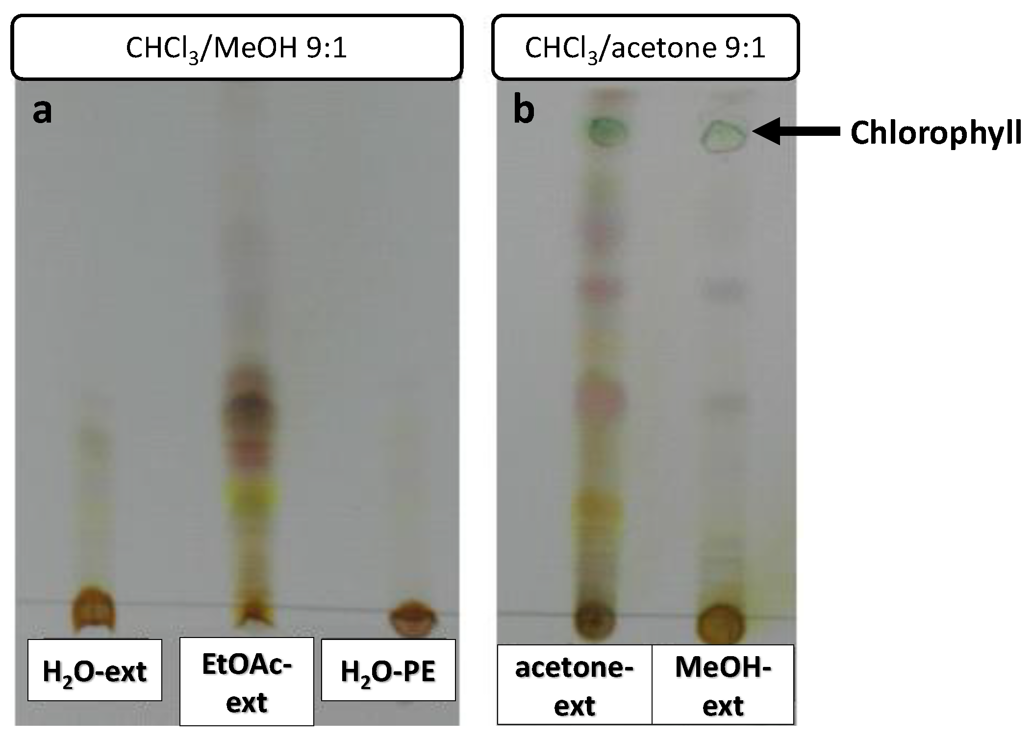 Molecules 26 03356 g005