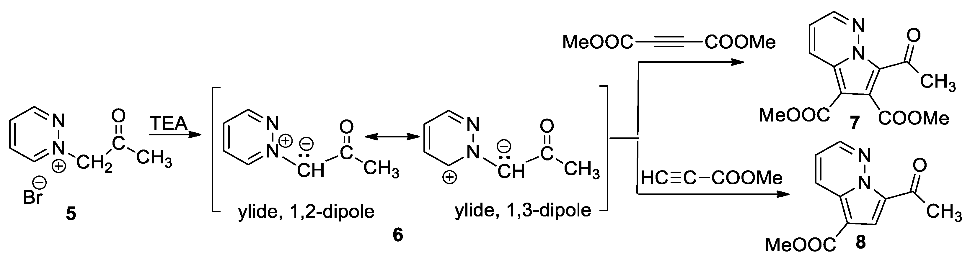 Molecules 26 03359 sch005 Molecules 26 03359 sch005