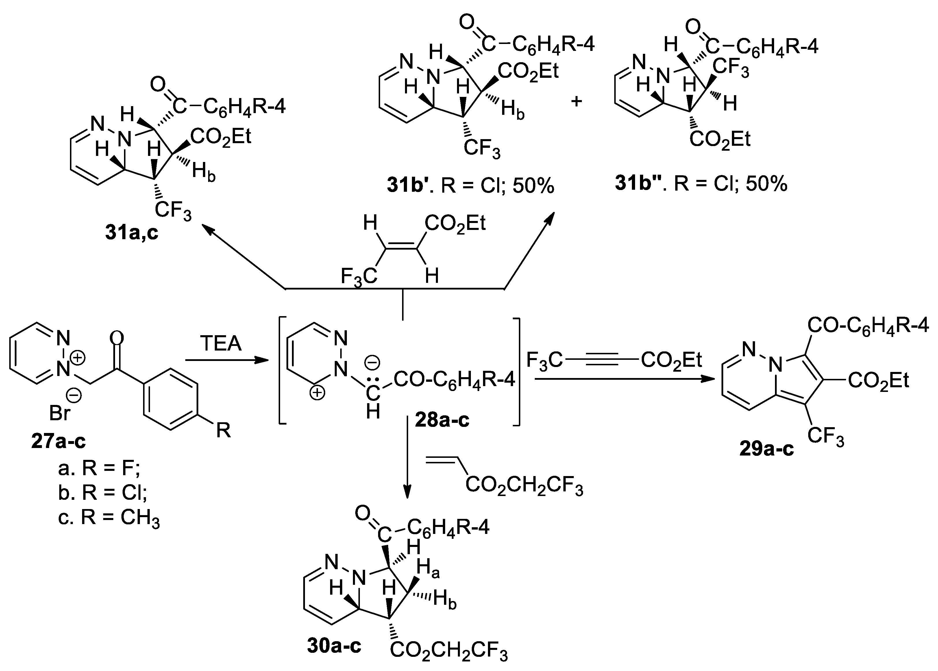 Molecules 26 03359 sch009 Molecules 26 03359 sch009
