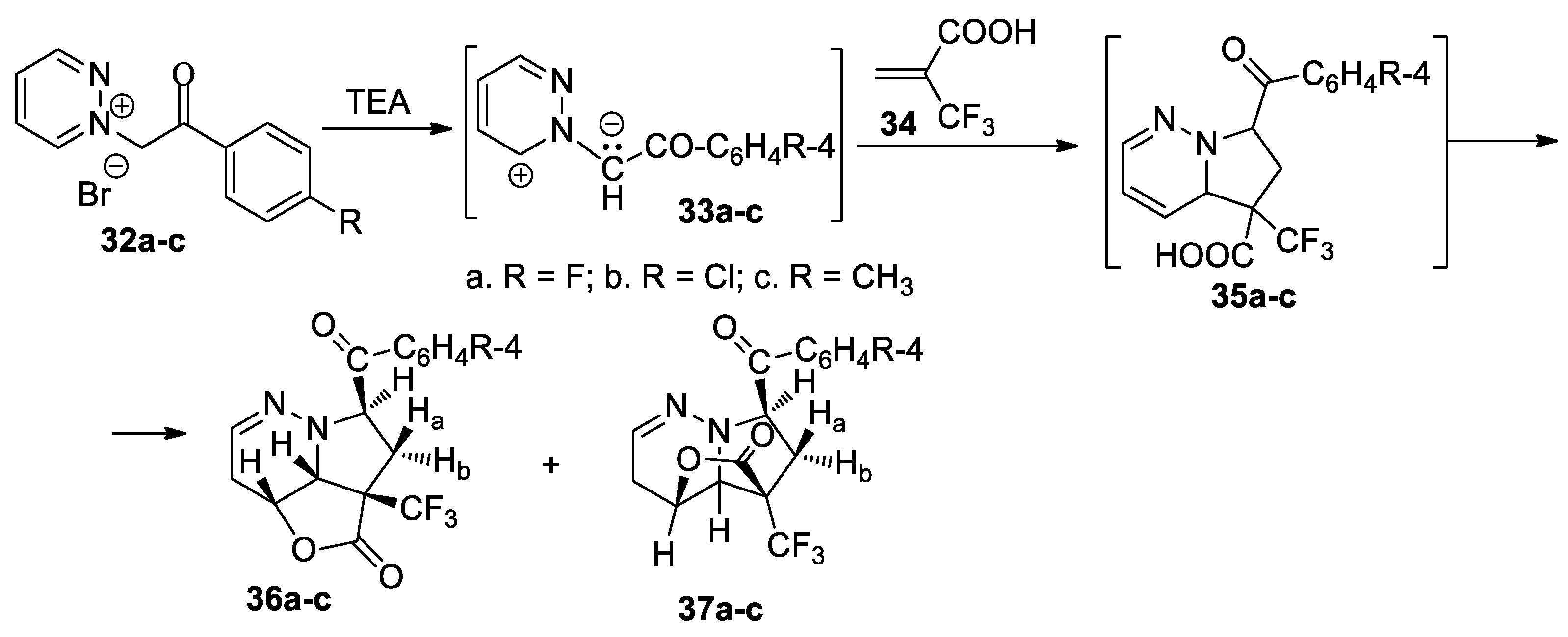 Molecules 26 03359 sch010 Molecules 26 03359 sch010