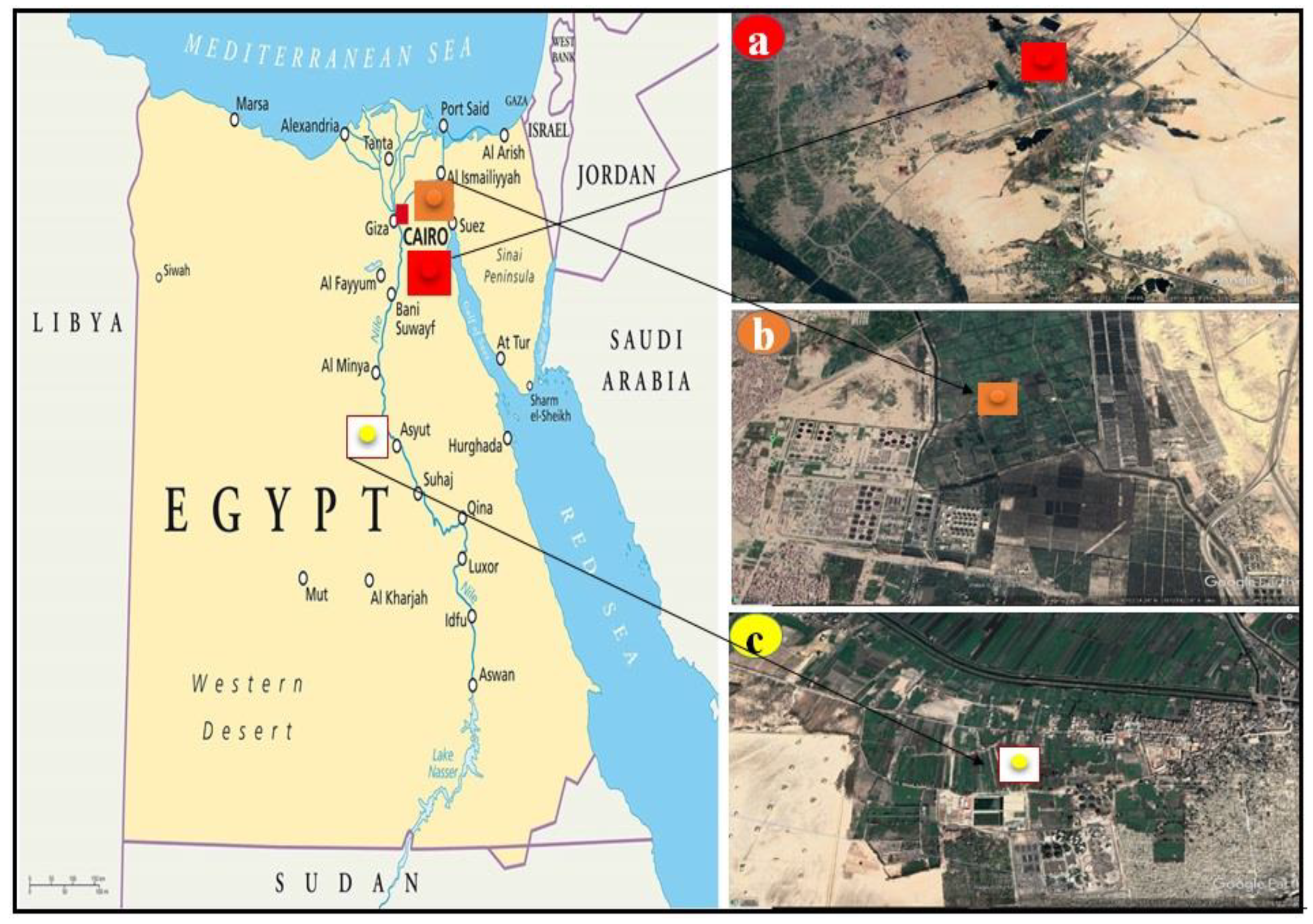 Molecules 26 03360 g001 Molecules 26 03360 g001
