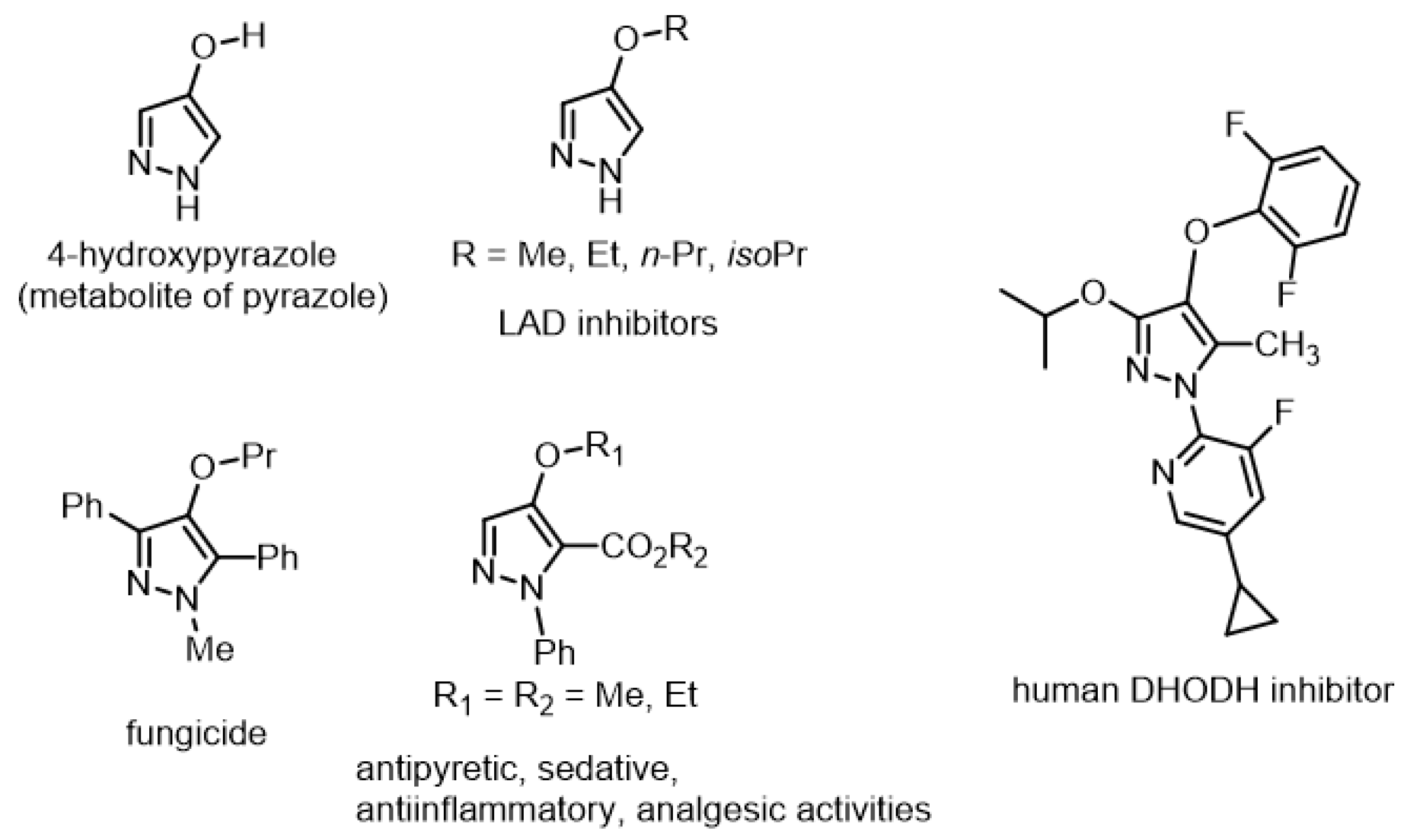Molecules 26 03370 g001