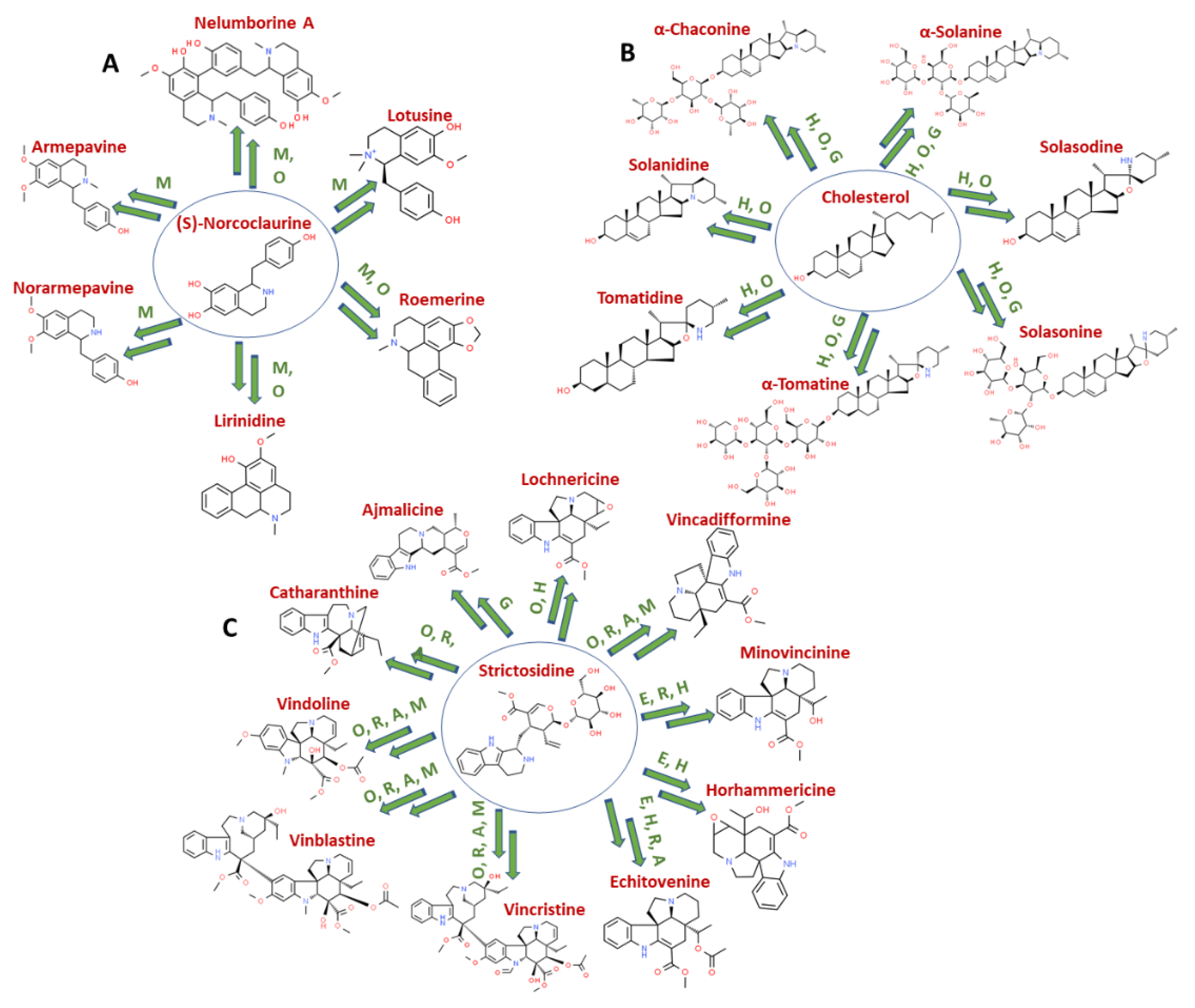 Molecules 26 03374 g001 Molecules 26 03374 g001