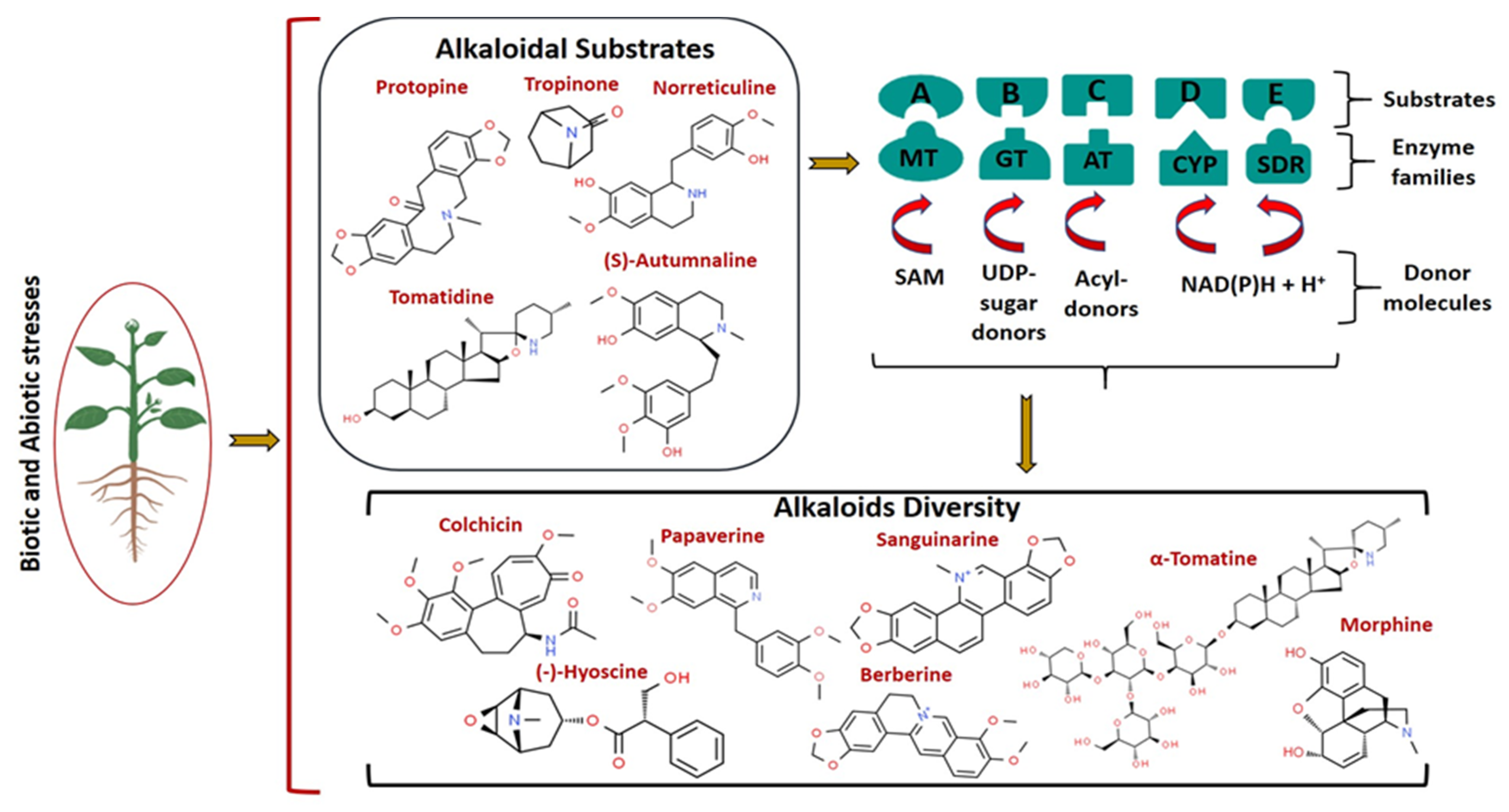 Molecules 26 03374 g002 Molecules 26 03374 g002