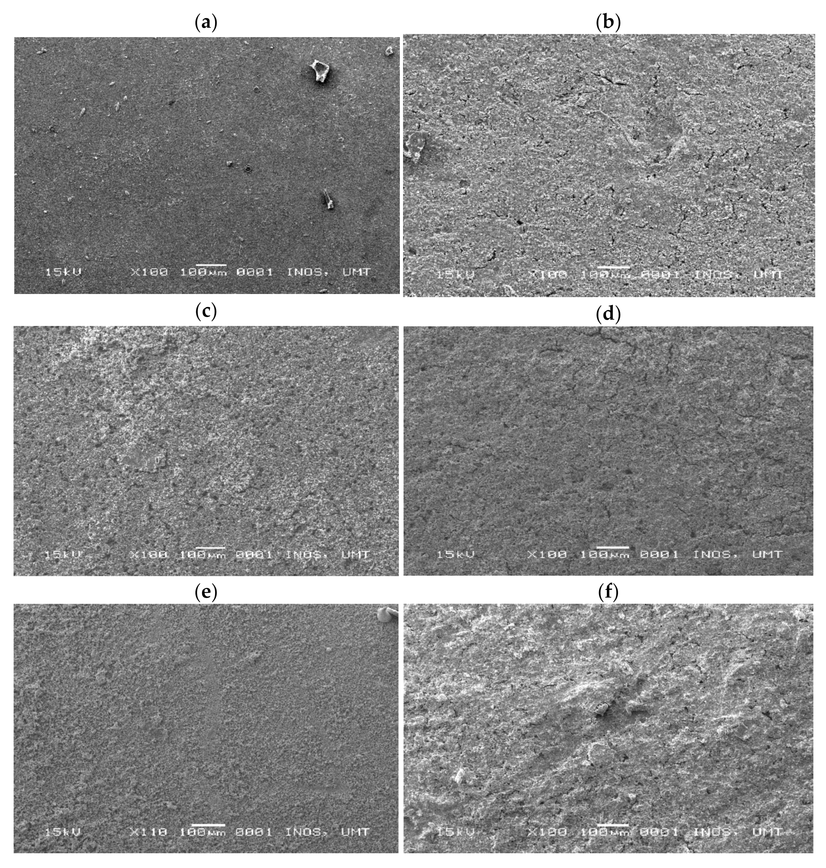 Molecules 26 03379 g007