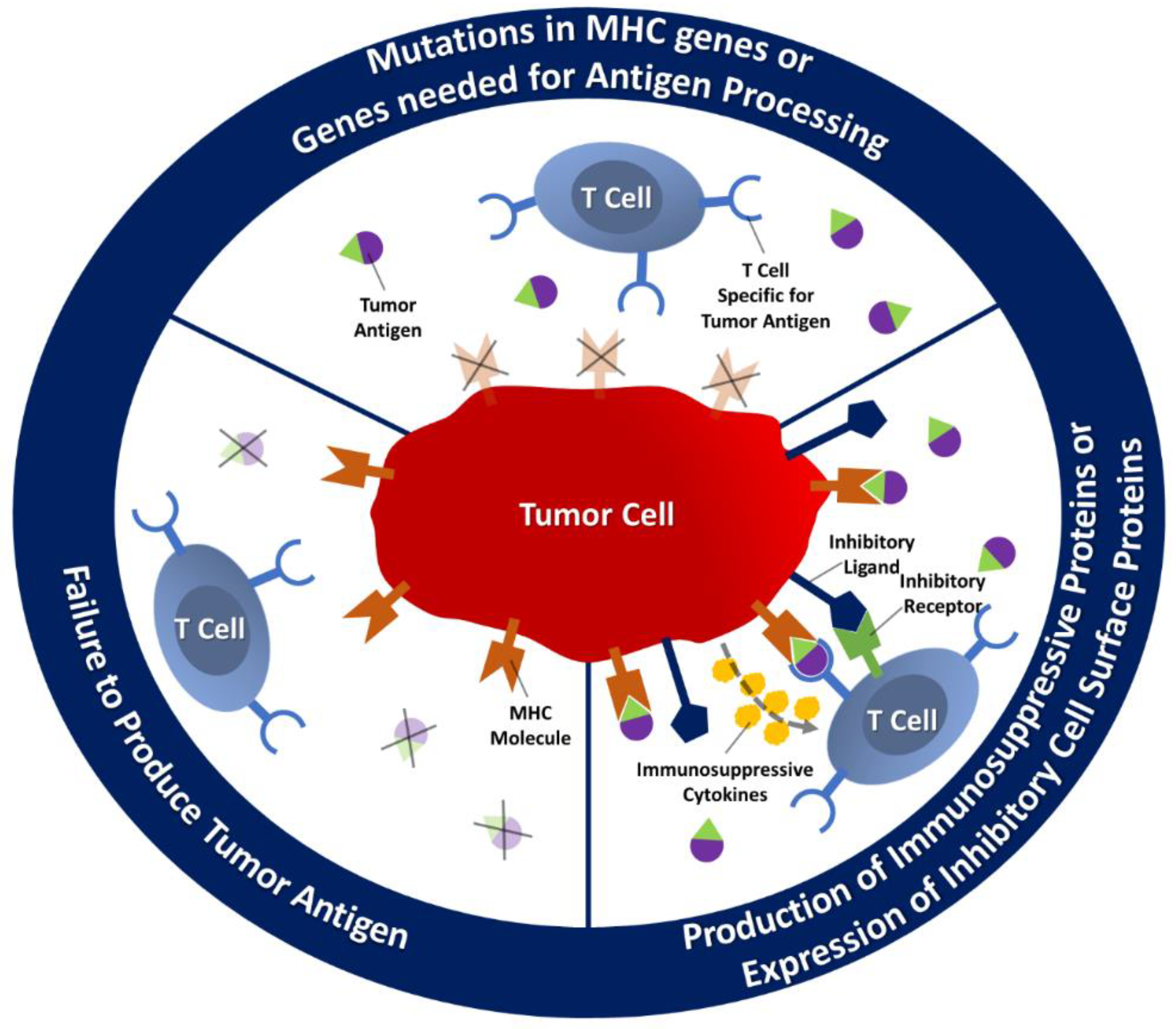 Molecules 26 03382 g002 Molecules 26 03382 g002