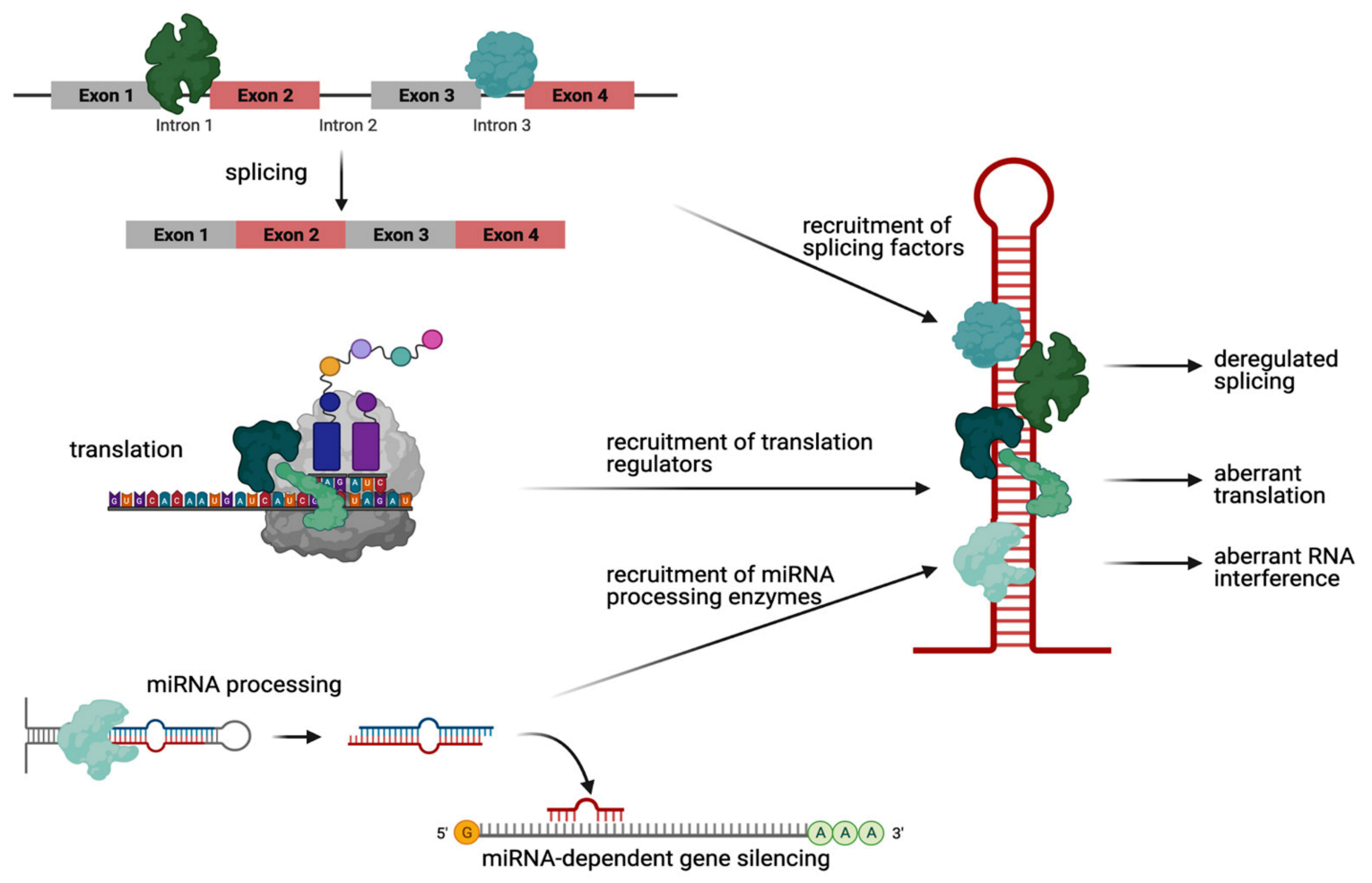 Molecules 26 03384 g001