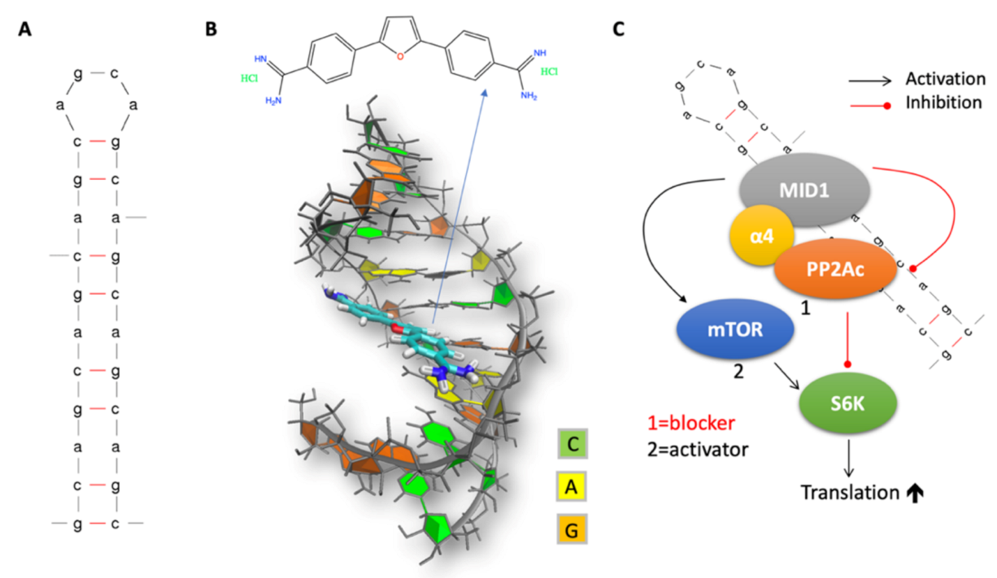 Molecules 26 03384 g002