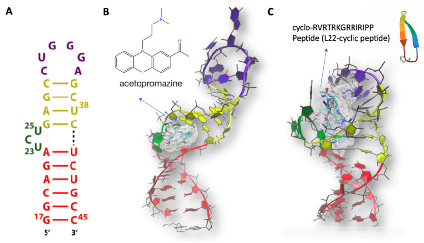 Molecules 26 03384 g003