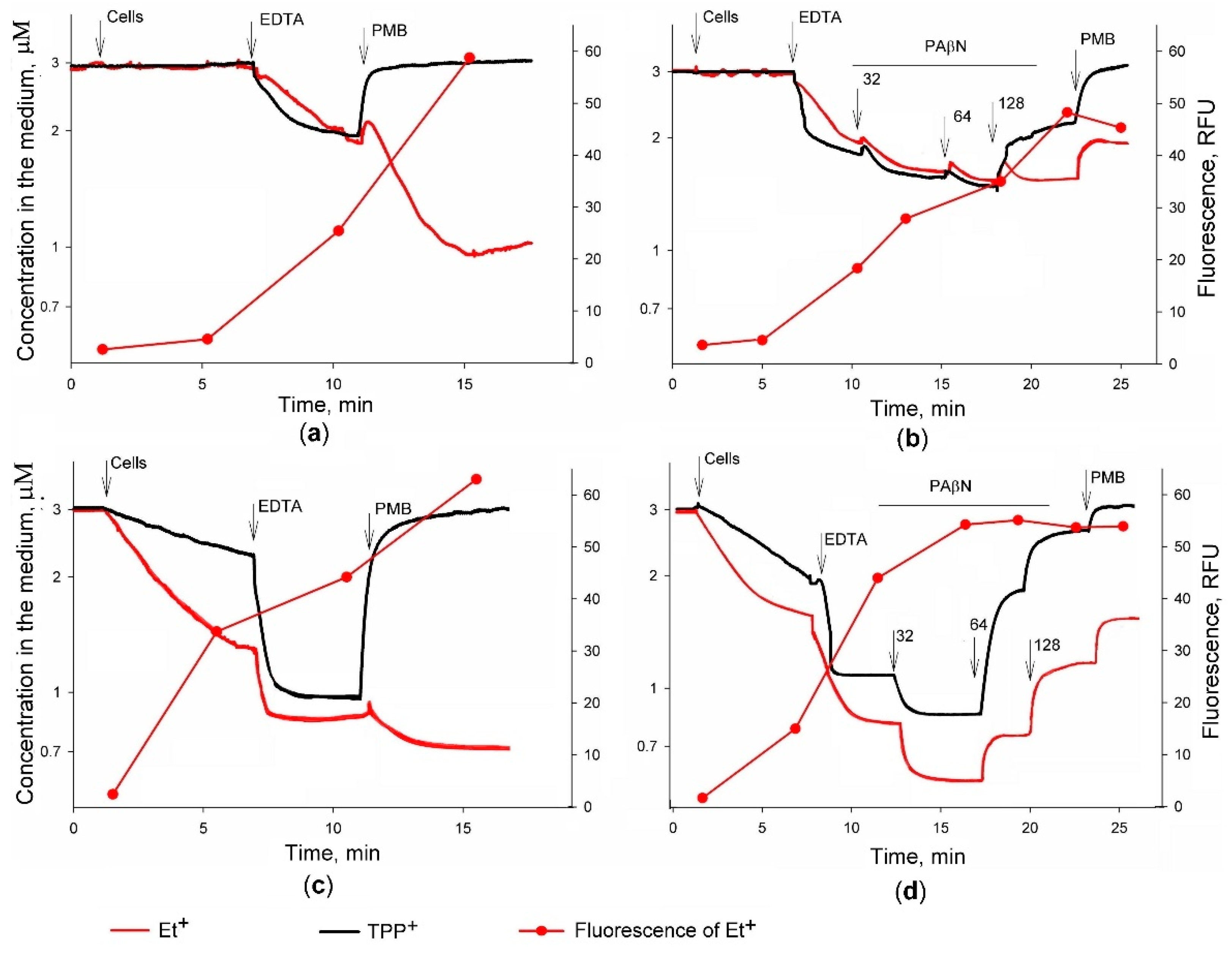 Molecules 26 03386 g001