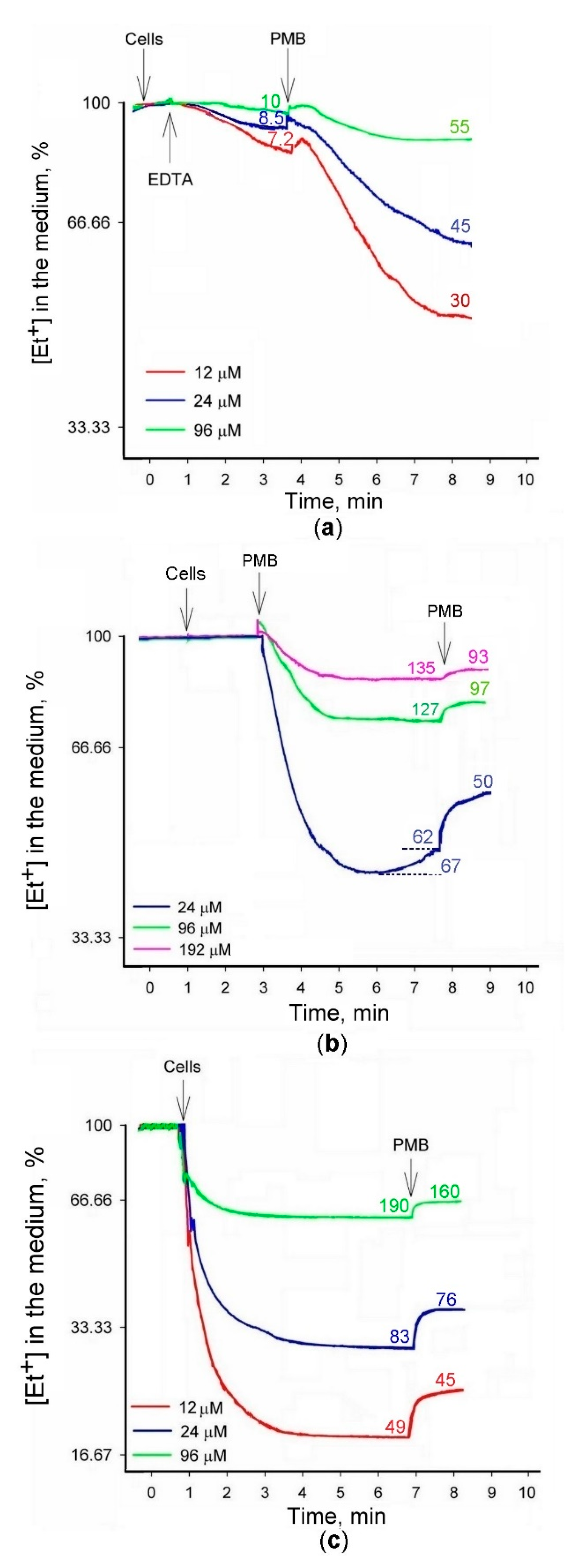Molecules 26 03386 g002