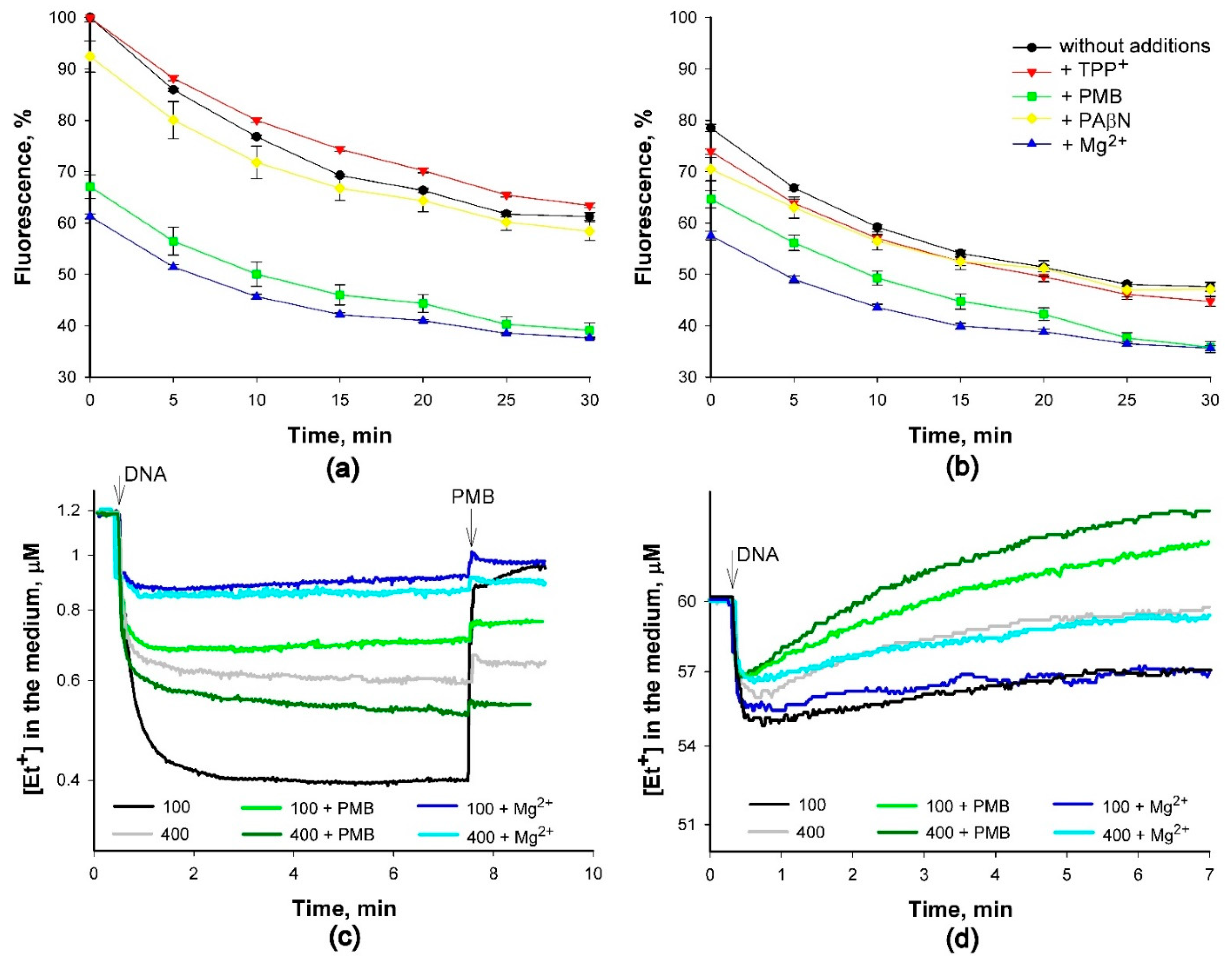 Molecules 26 03386 g005