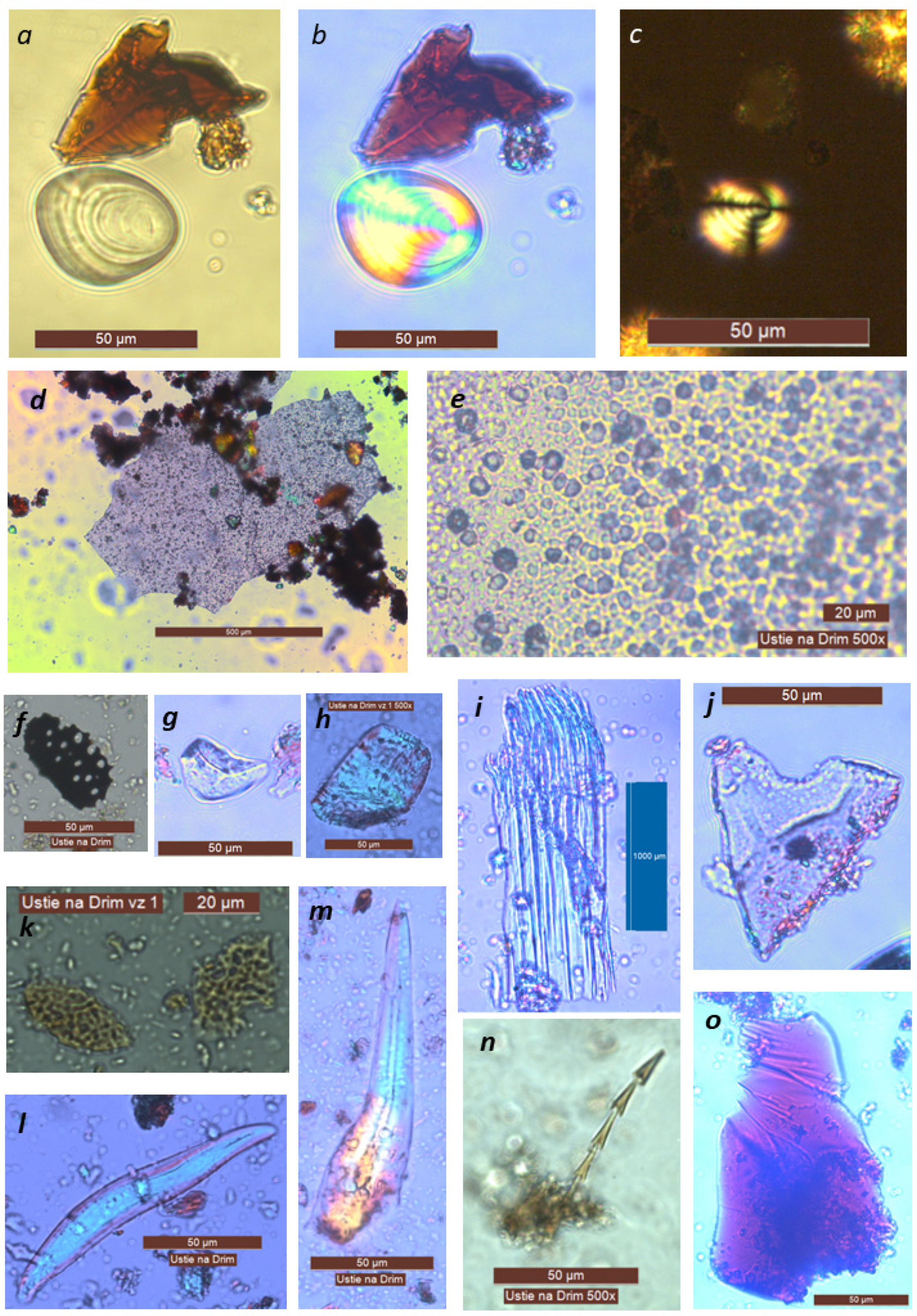 Molecules 26 03391 g004 Molecules 26 03391 g004