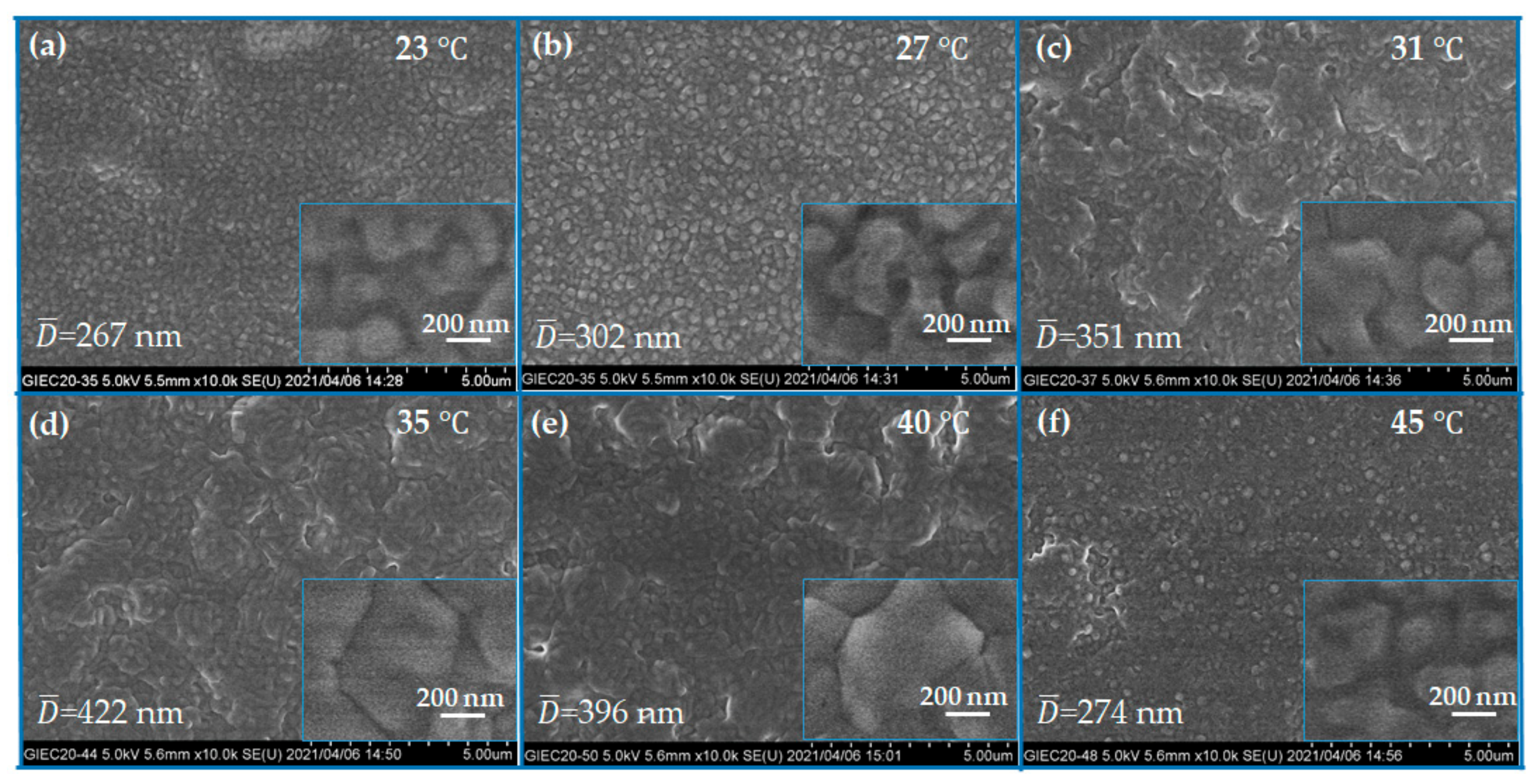 Molecules 26 03398 g003 Molecules 26 03398 g003