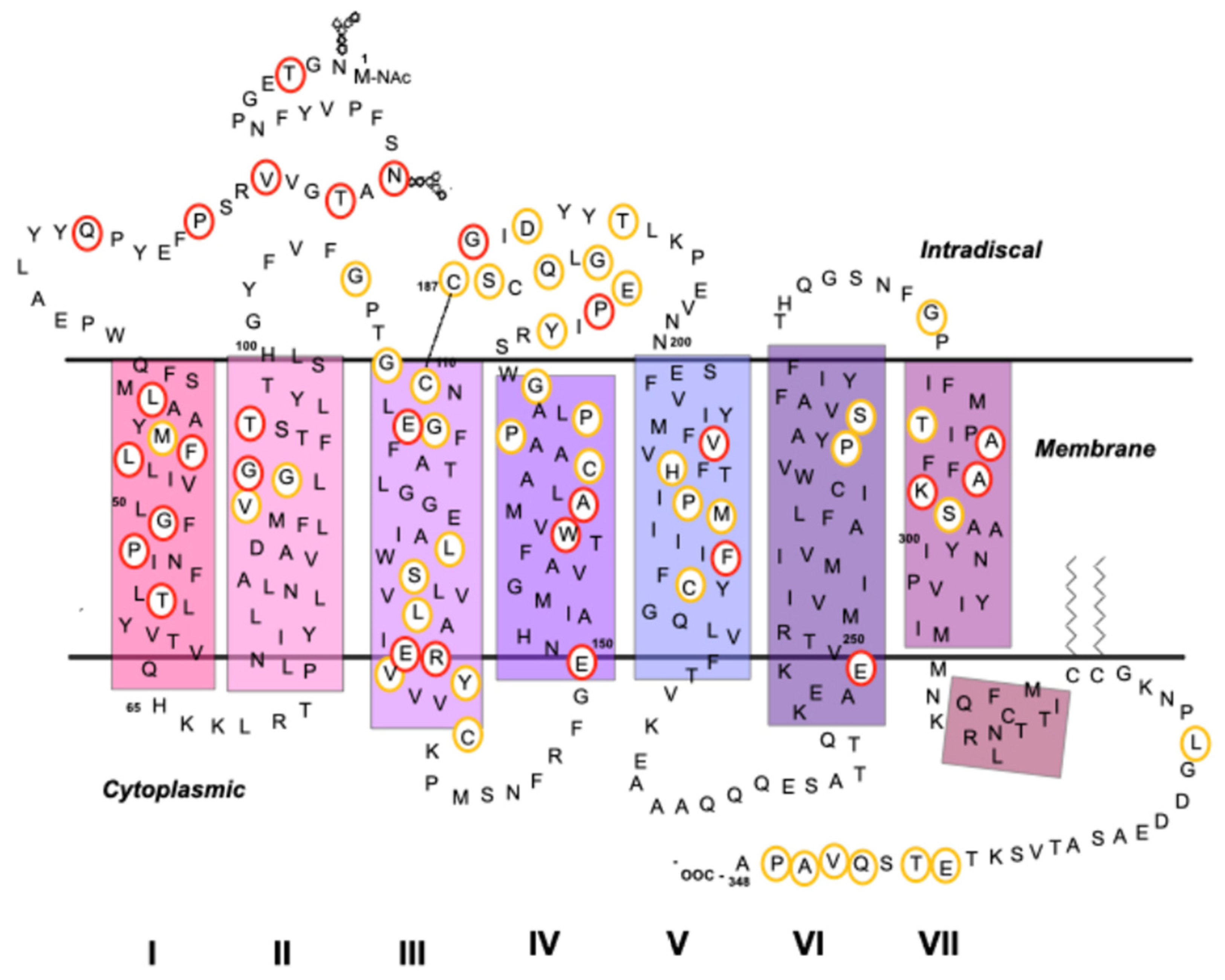 Molecules 26 03407 g003