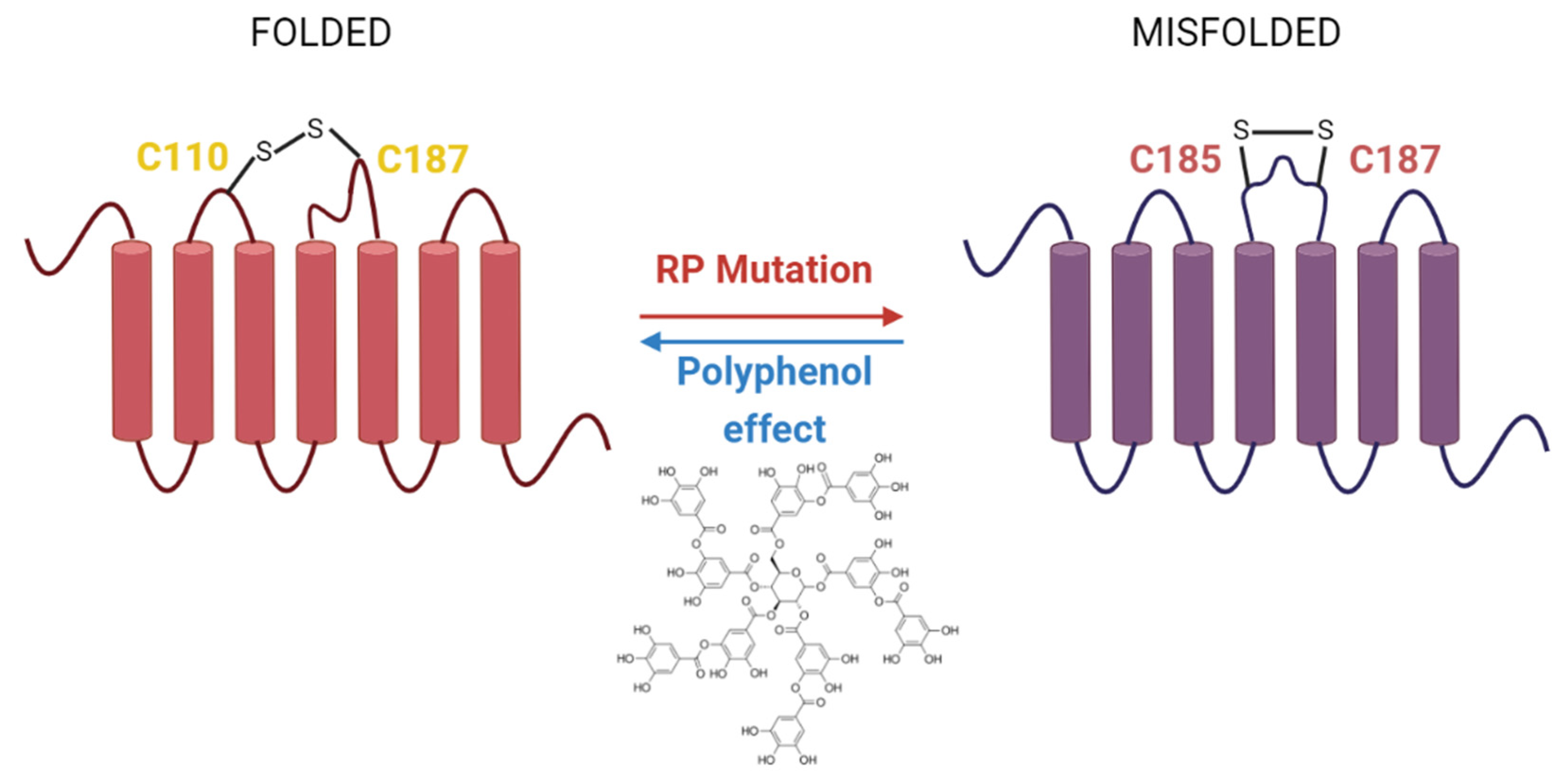 Molecules 26 03407 g004
