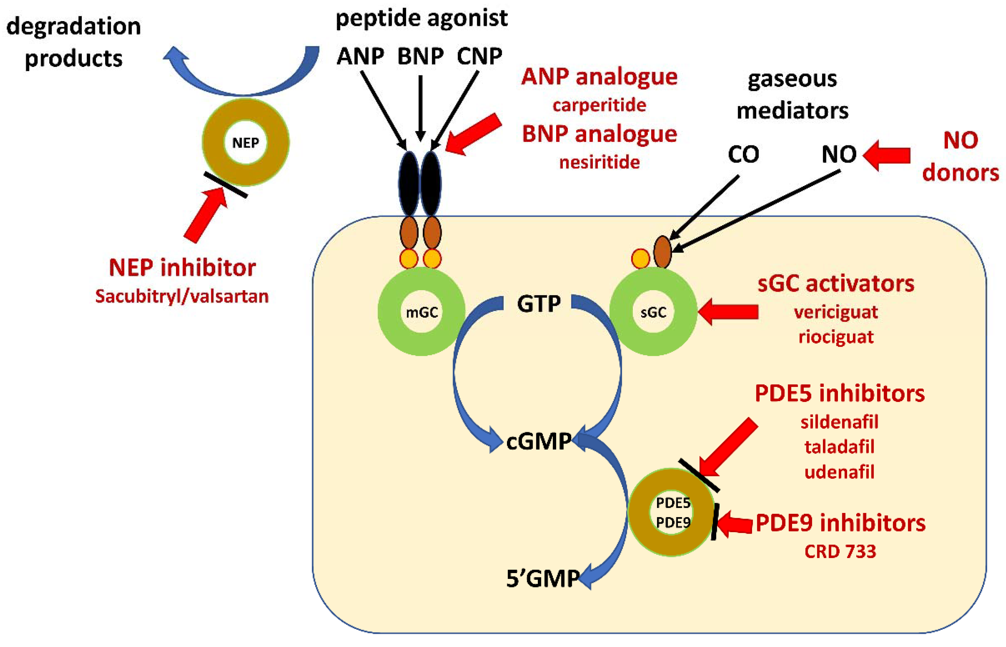 Molecules 26 03418 g002