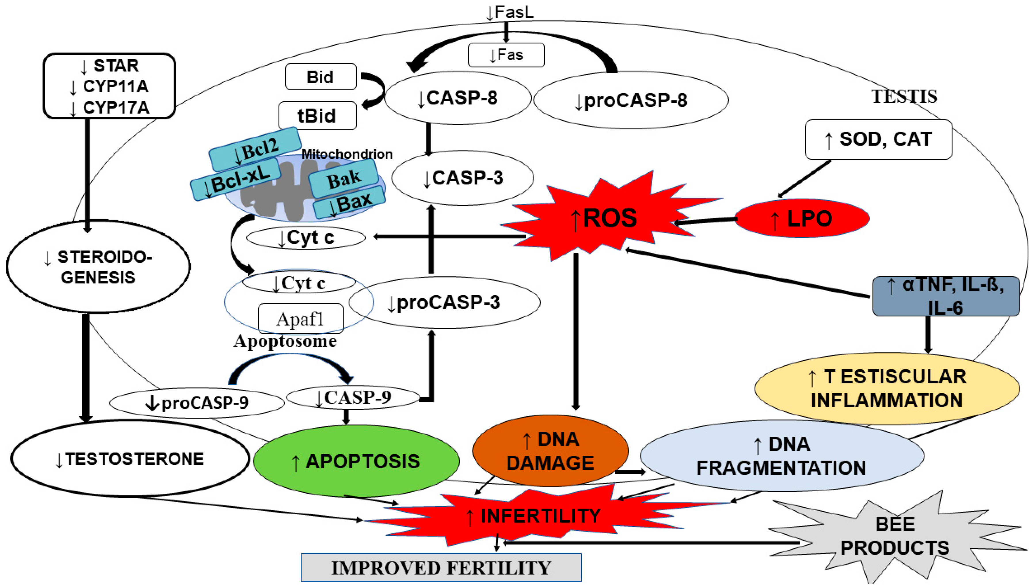 Molecules 26 03421 g001 Molecules 26 03421 g001