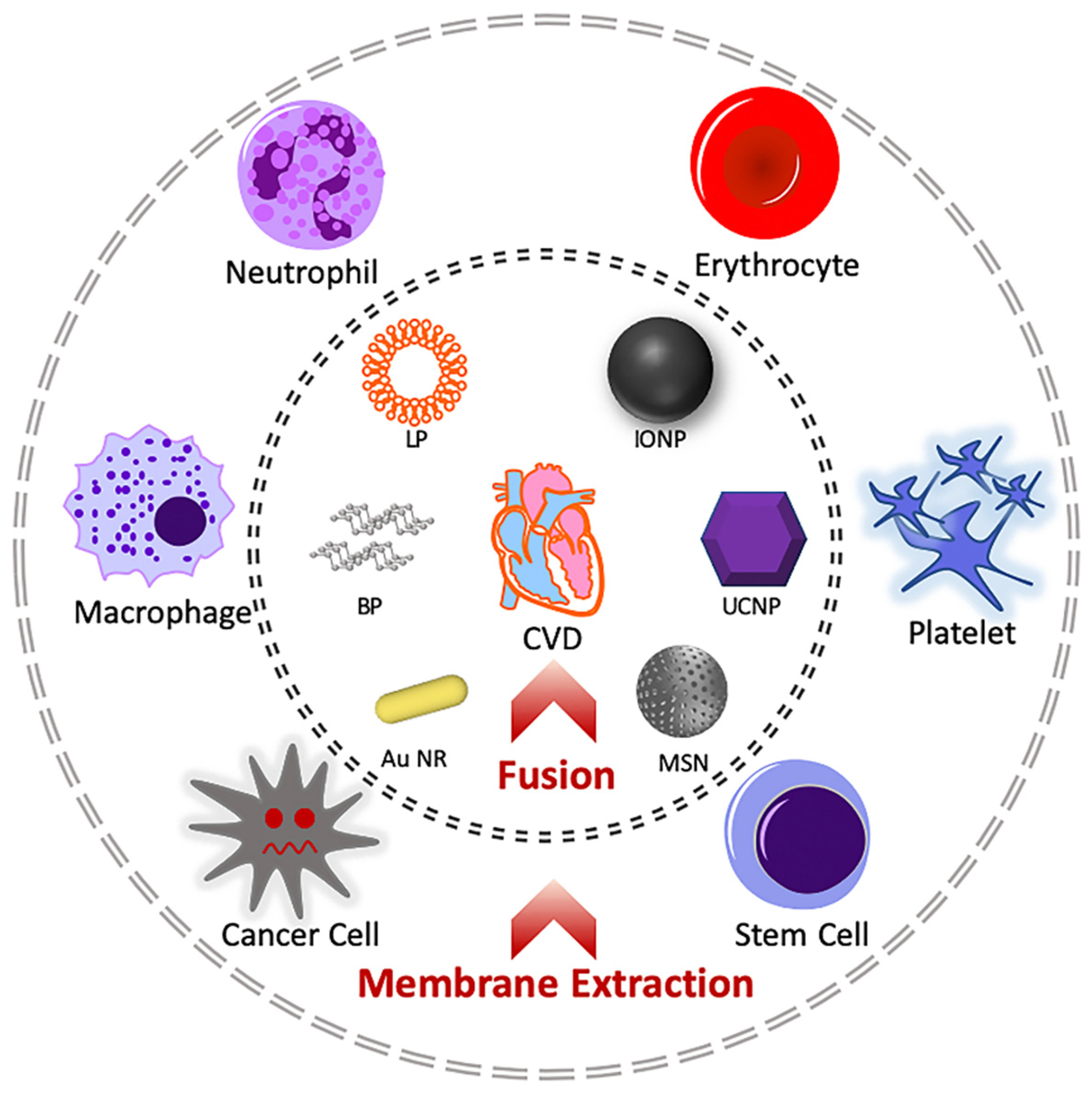 Molecules 26 03428 g002