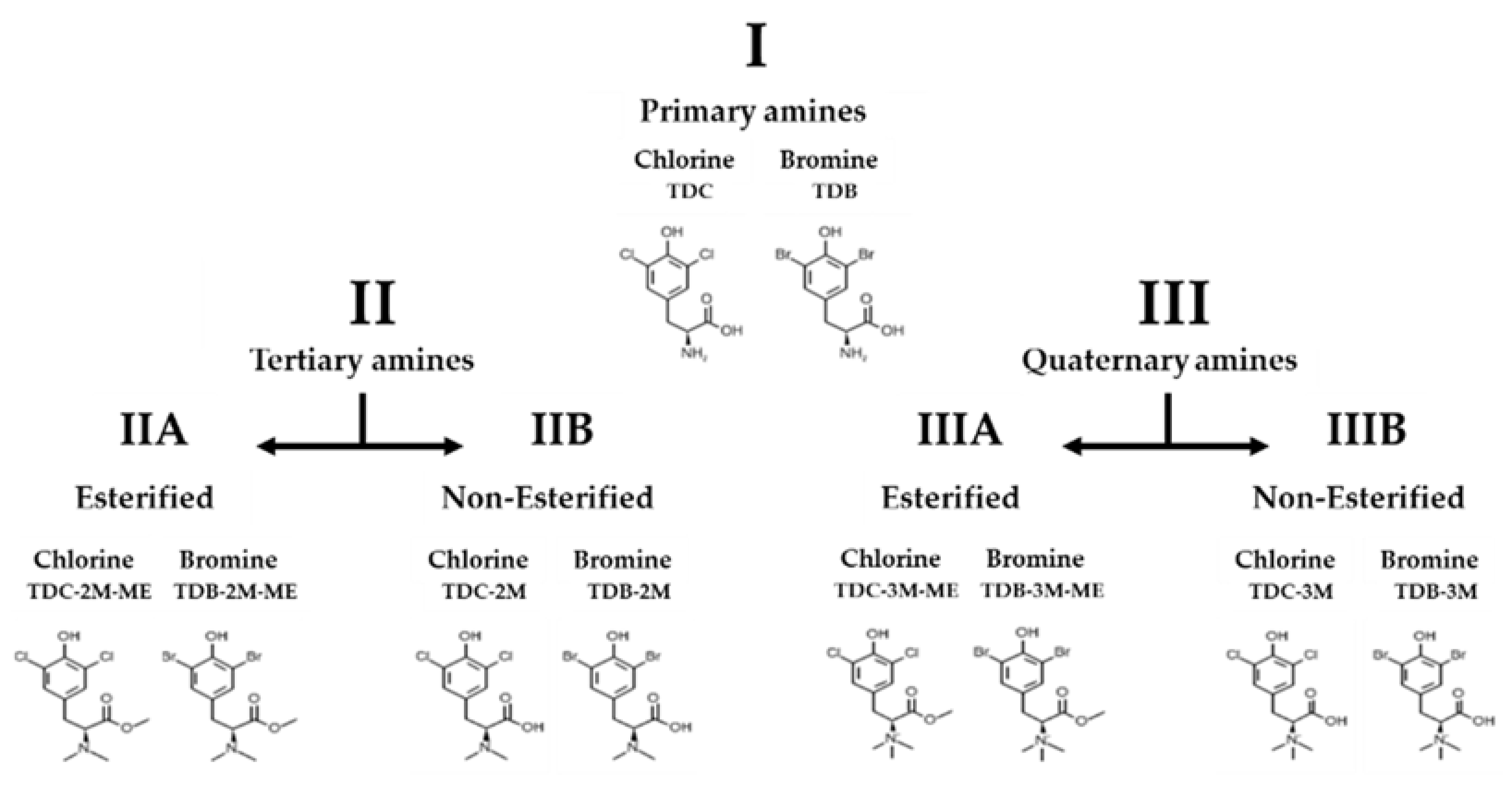 Molecules 26 03430 g001