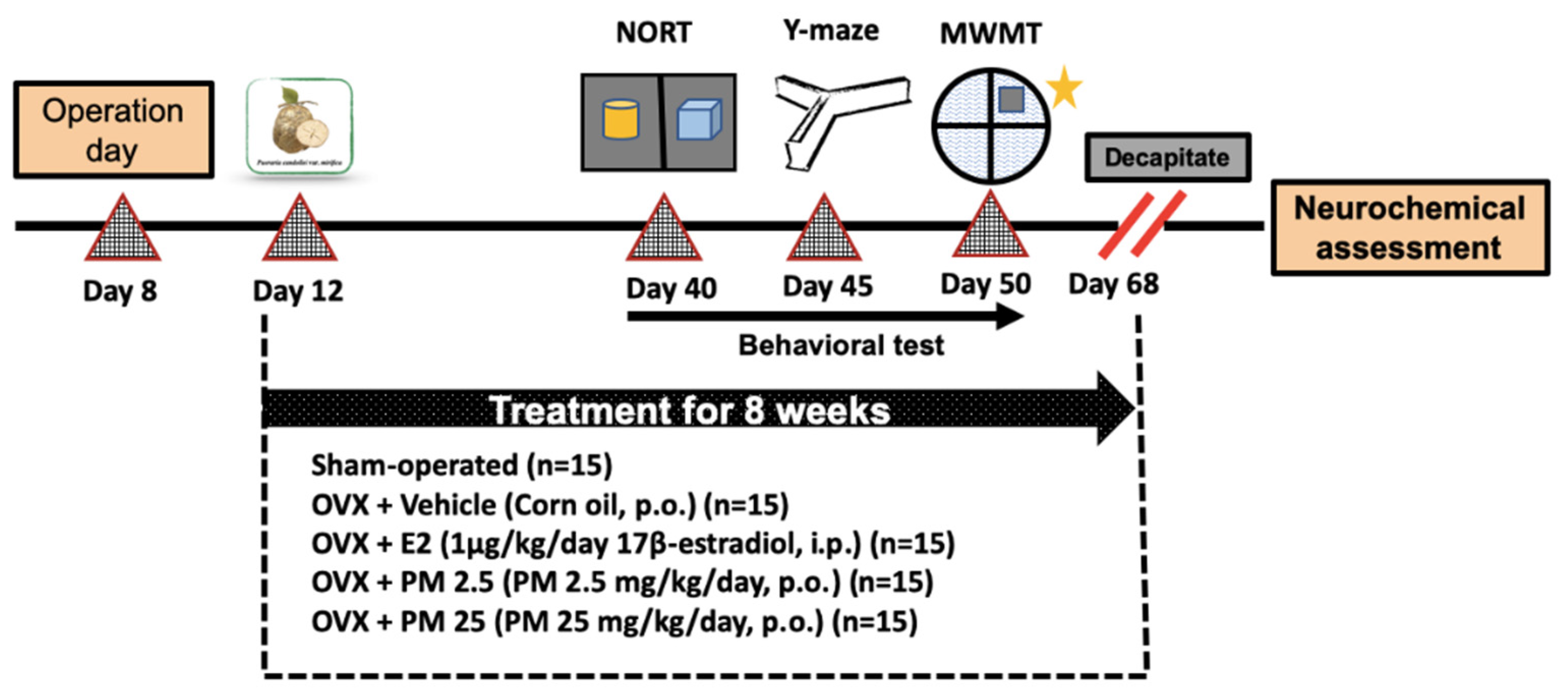 Molecules 26 03442 g004