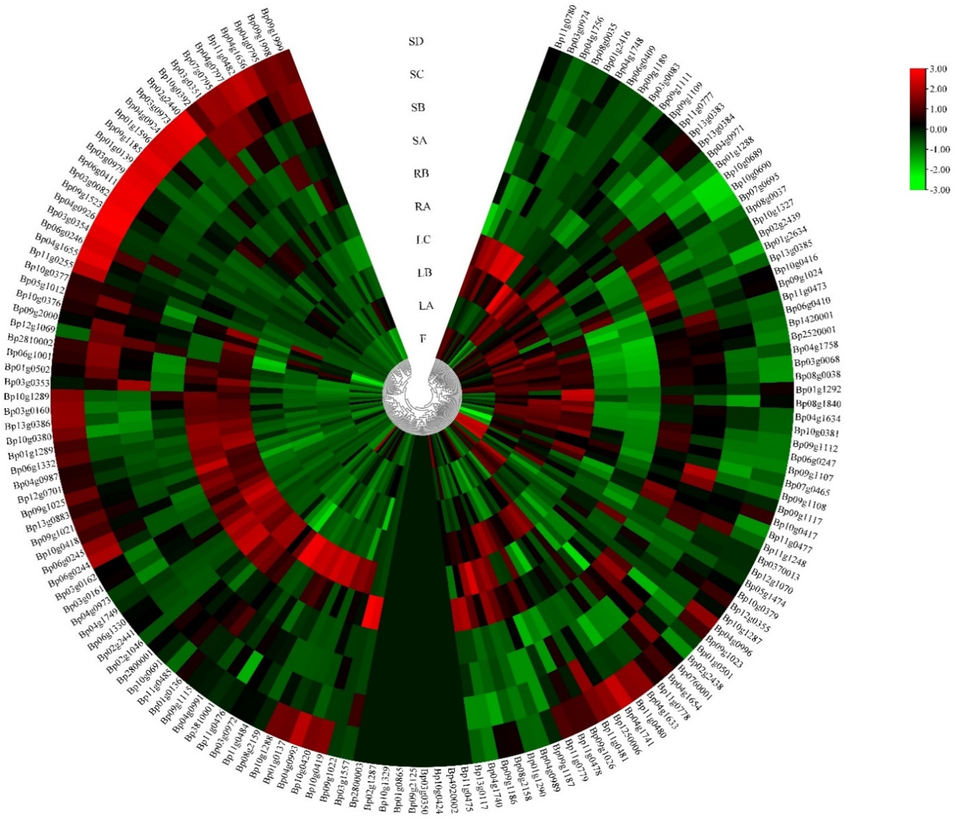 Molecules 26 03449 g003