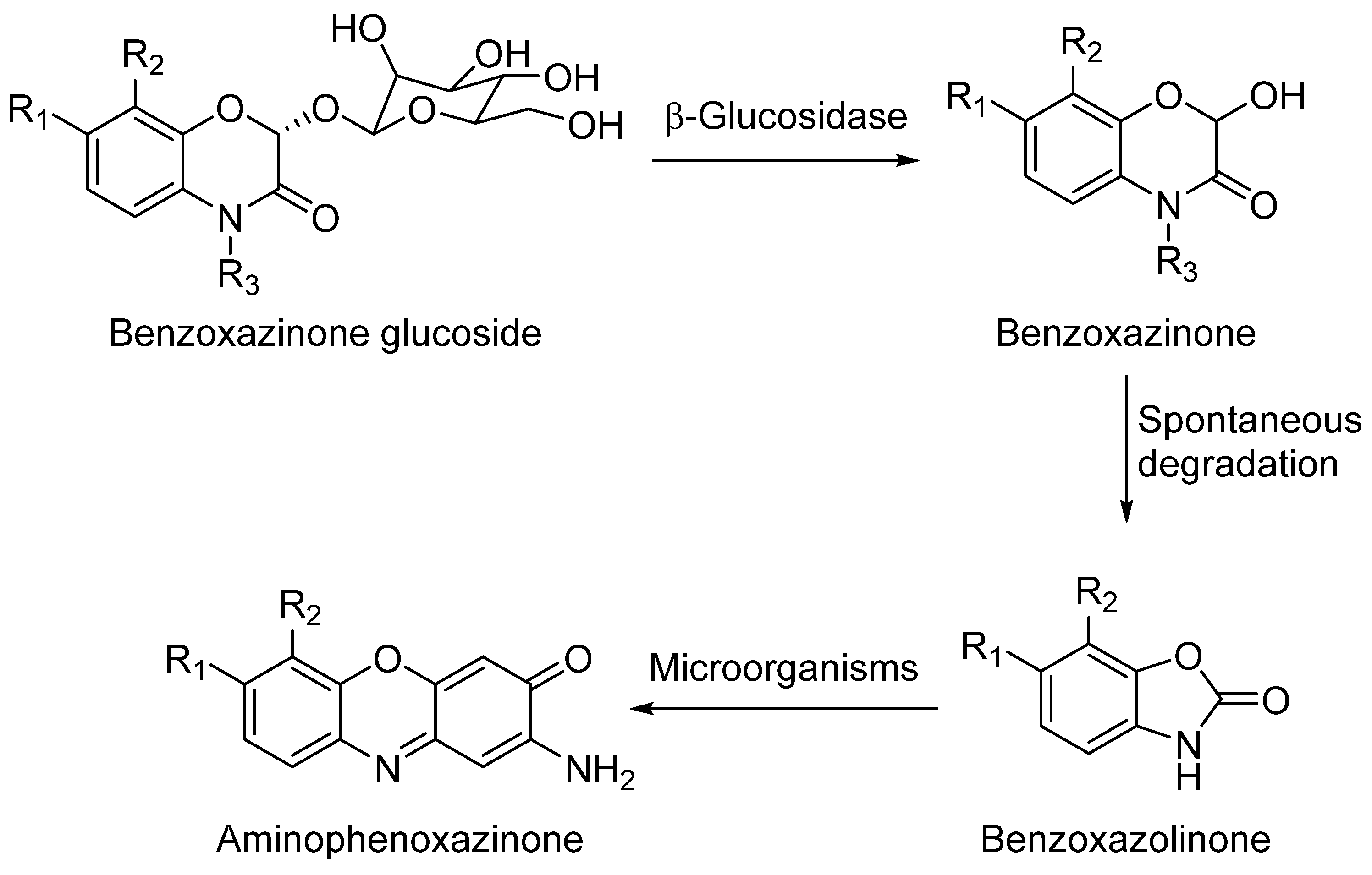 Molecules 26 03453 sch001 Molecules 26 03453 sch001