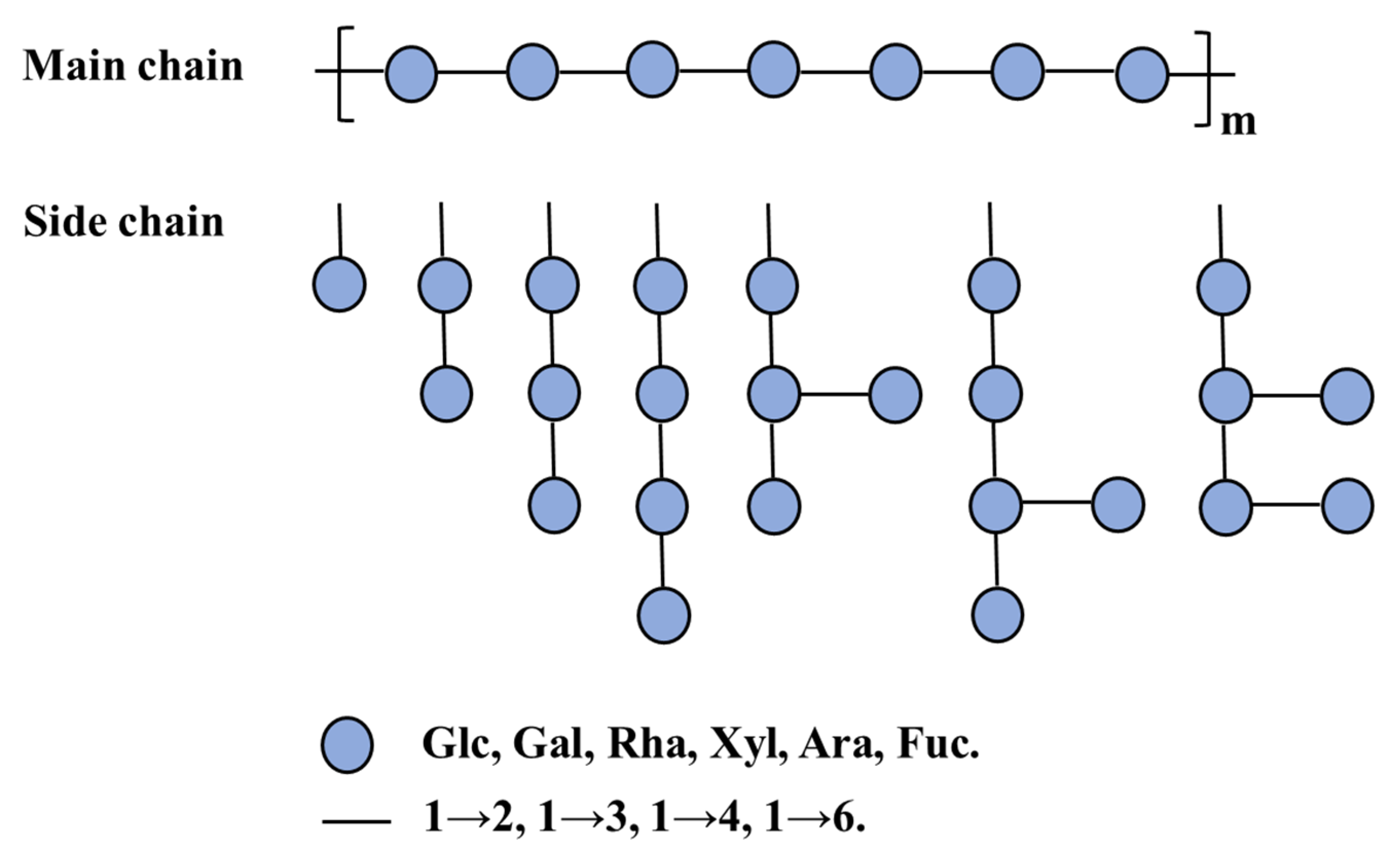Molecules 26 03457 g001