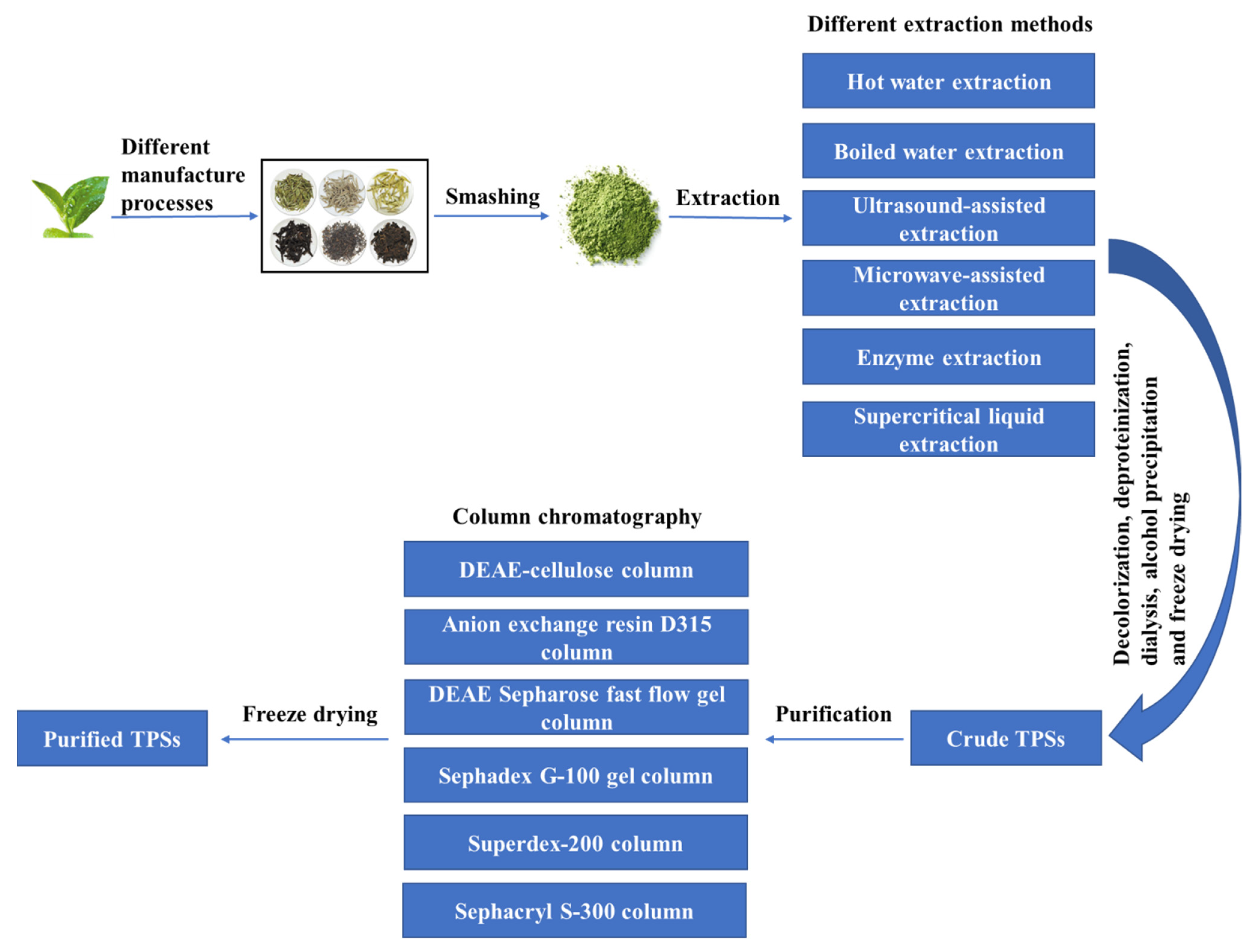 Molecules 26 03457 g002