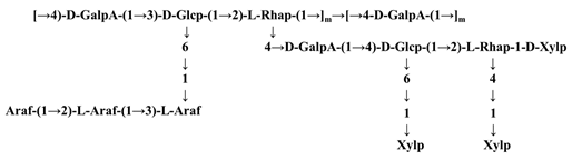 Molecules 26 03457 i001 Molecules 26 03457 i001
