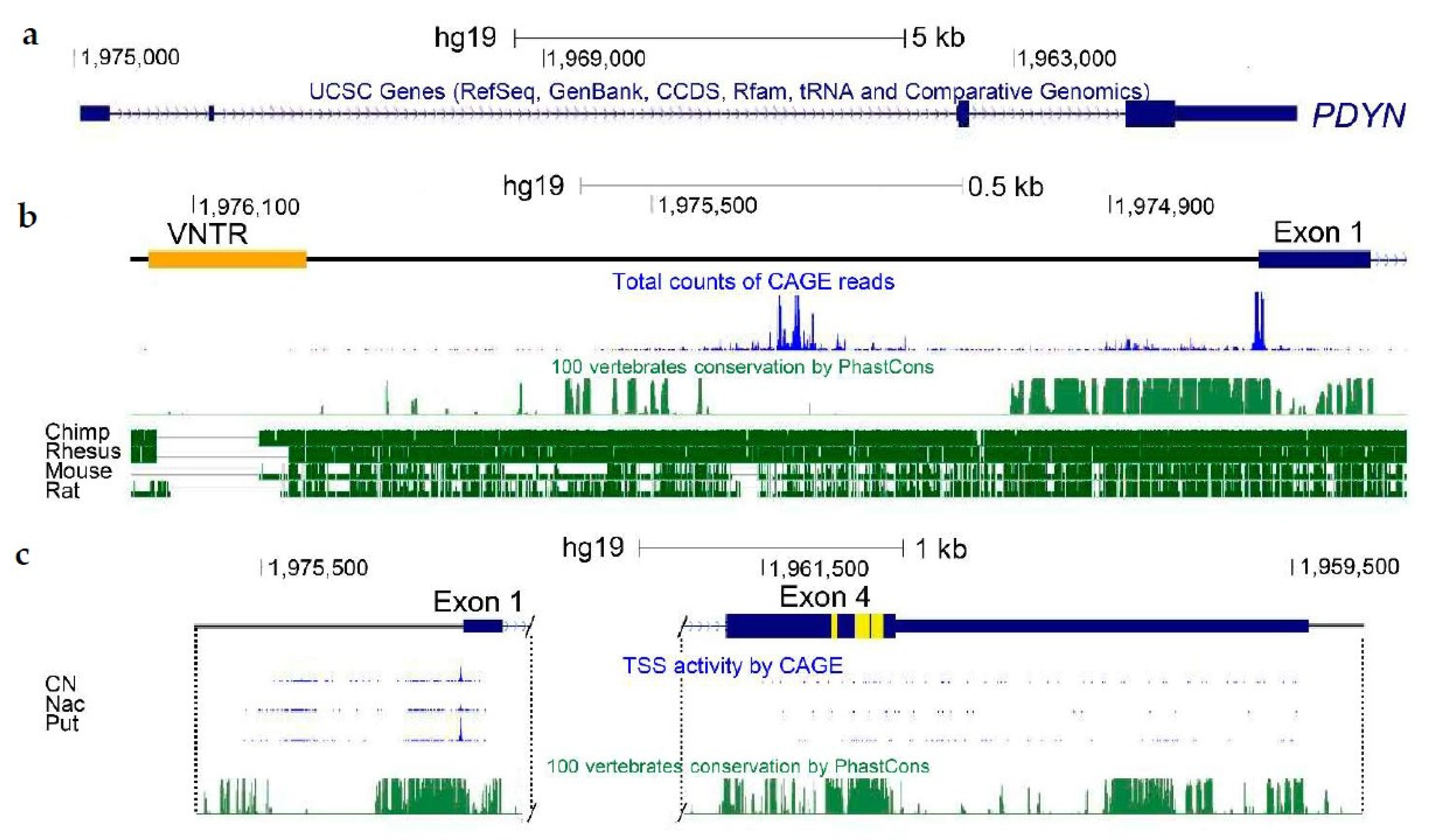 Molecules 26 03458 g001