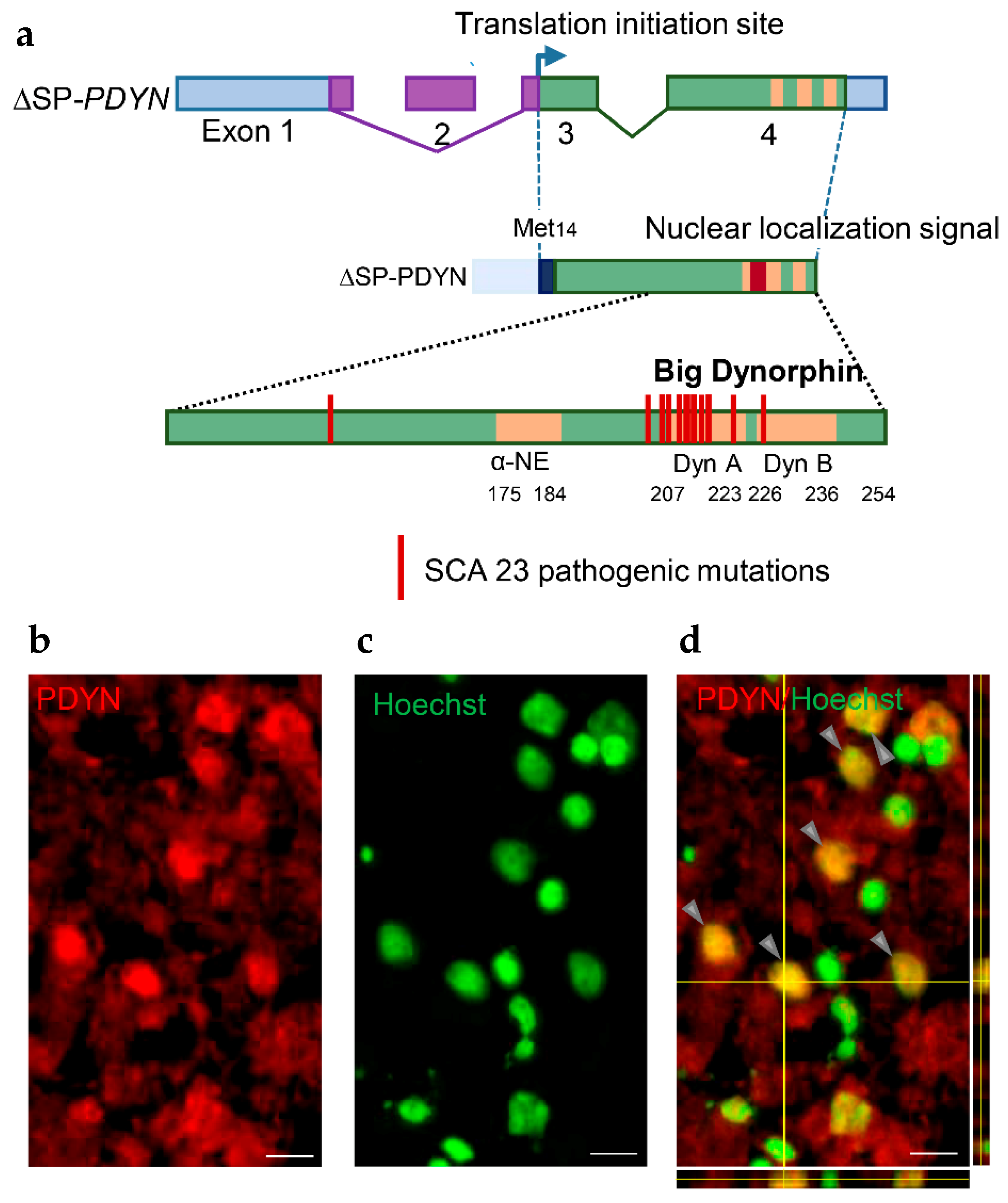 Molecules 26 03458 g003