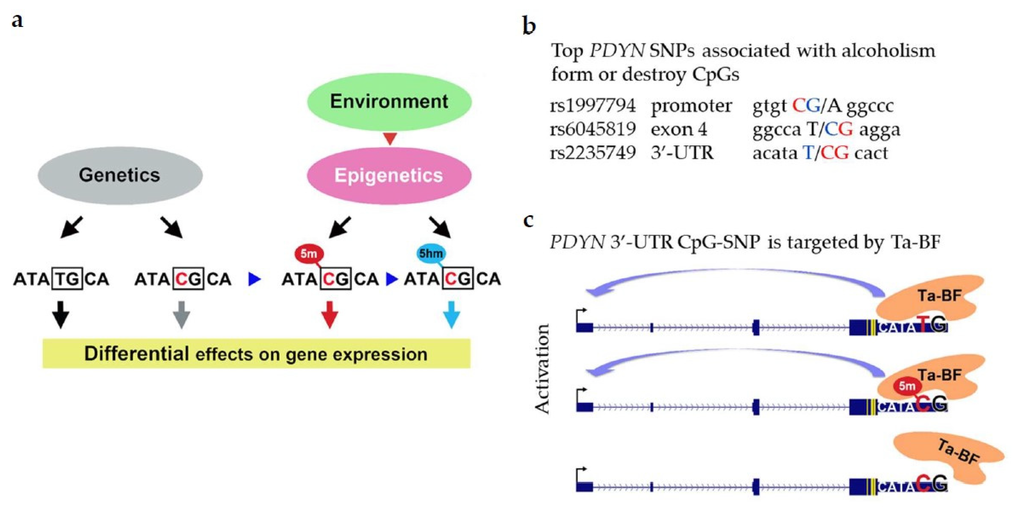 Molecules 26 03458 g006