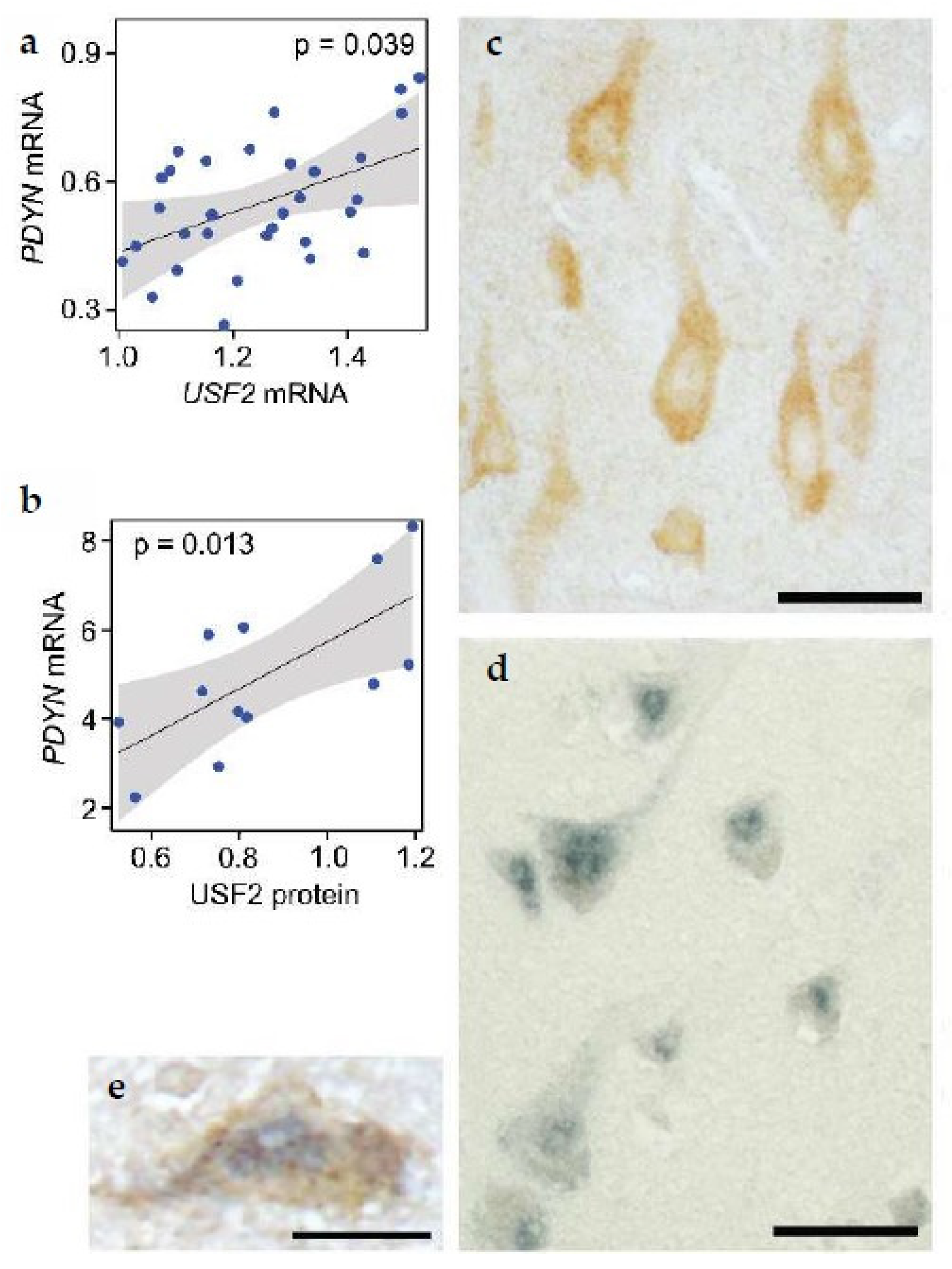 Molecules 26 03458 g007