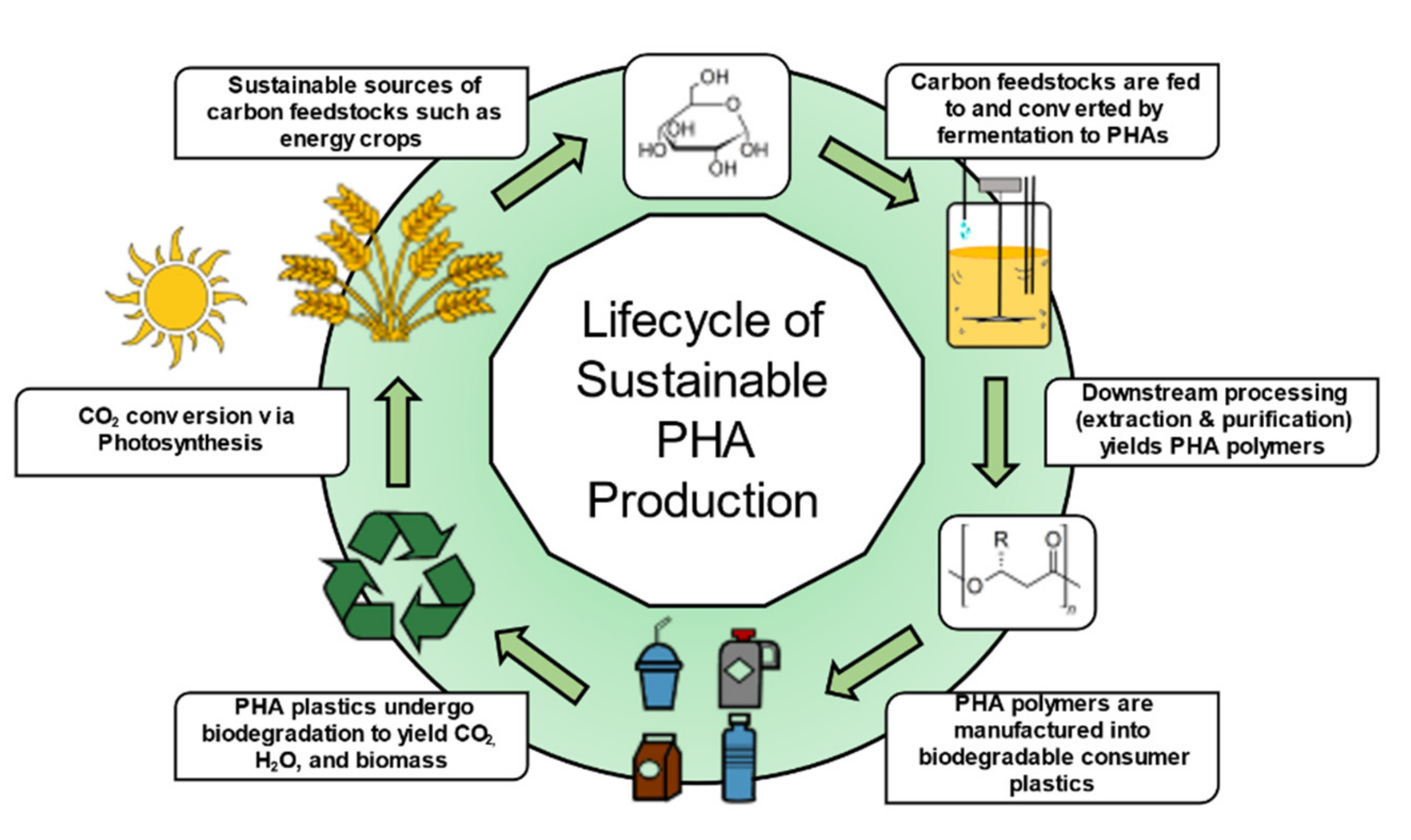 Molecules 26 03463 g003