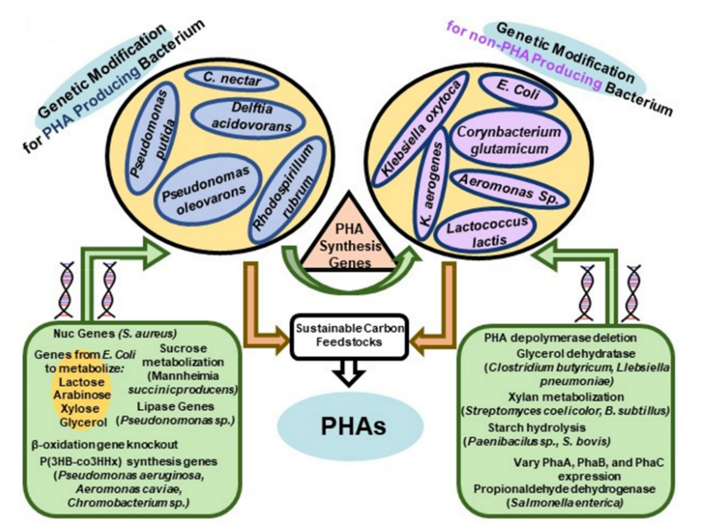 Molecules 26 03463 g005