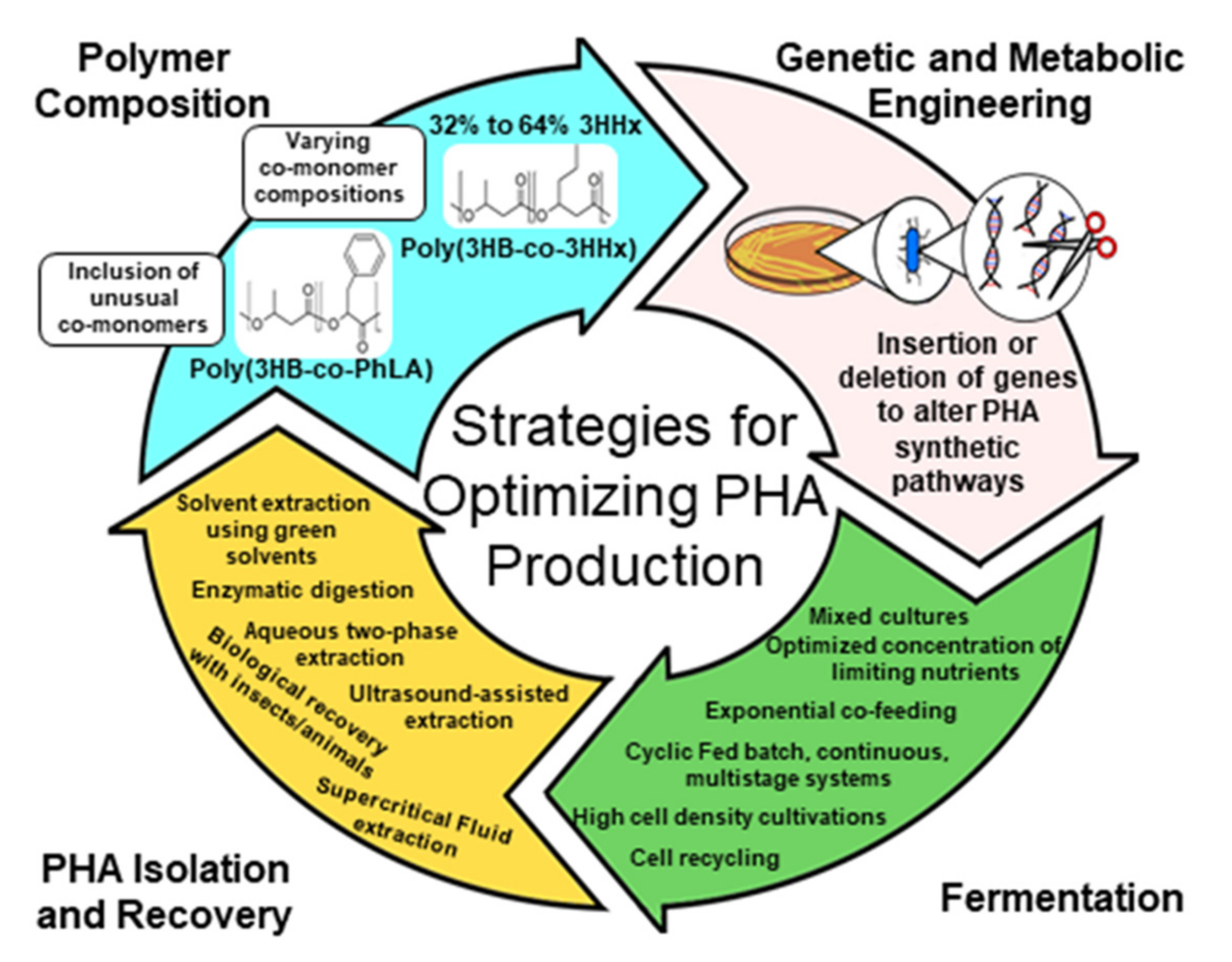 Molecules 26 03463 g008