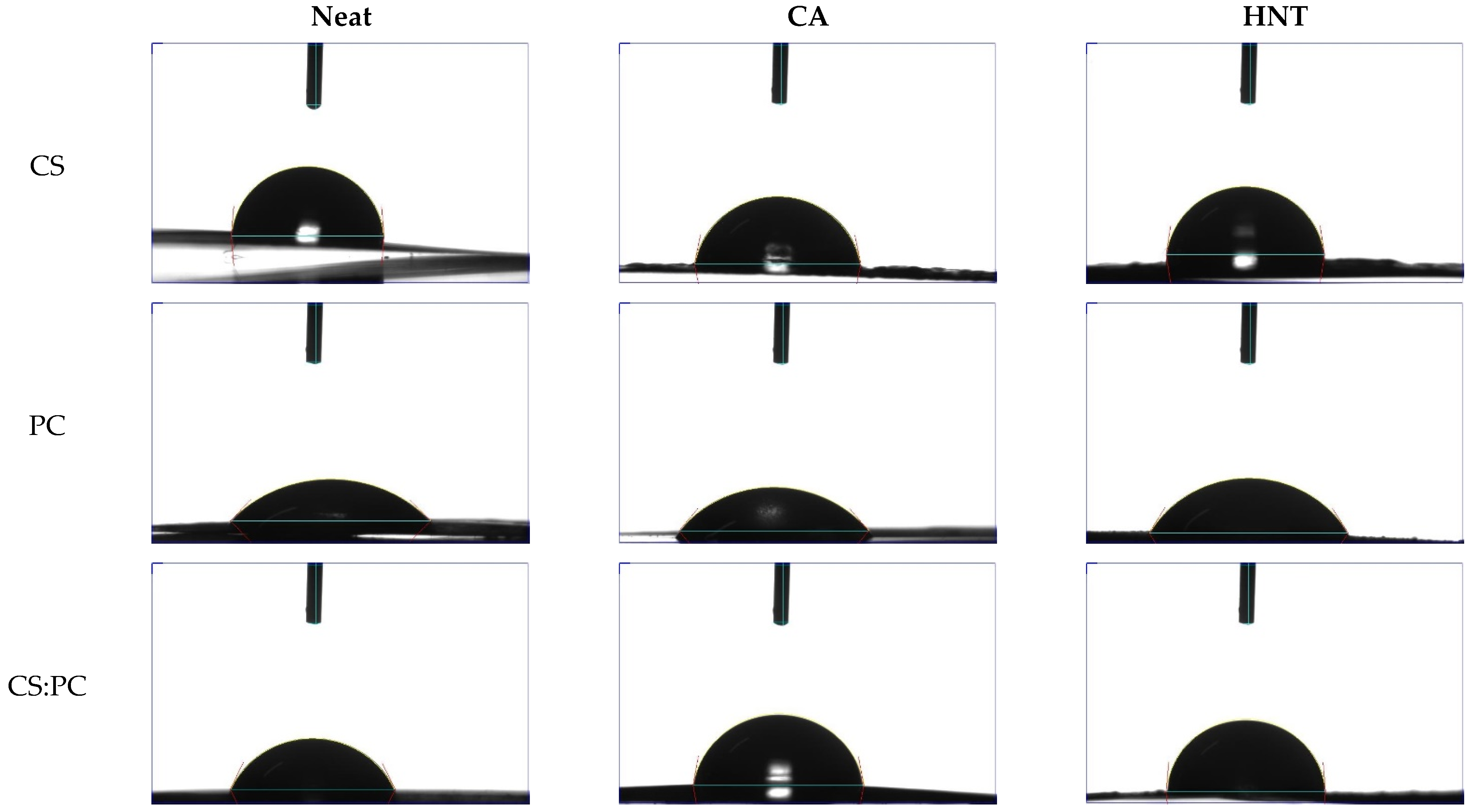 Molecules 26 03468 g001 Molecules 26 03468 g001