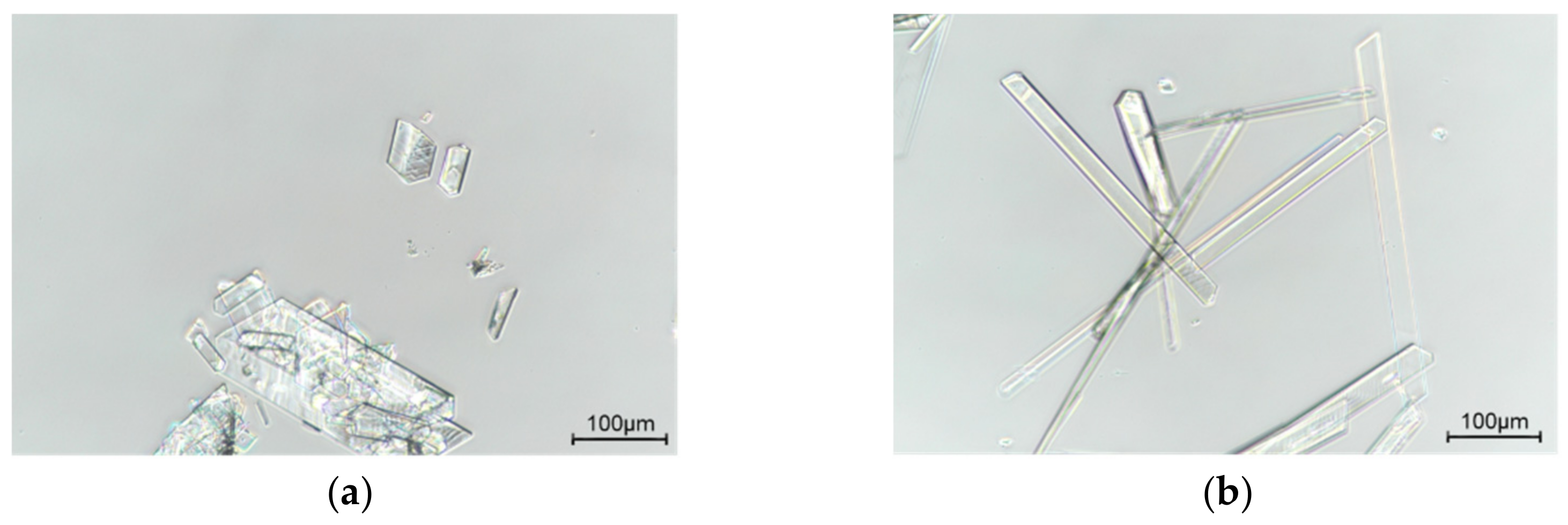 Molecules 26 03469 g002