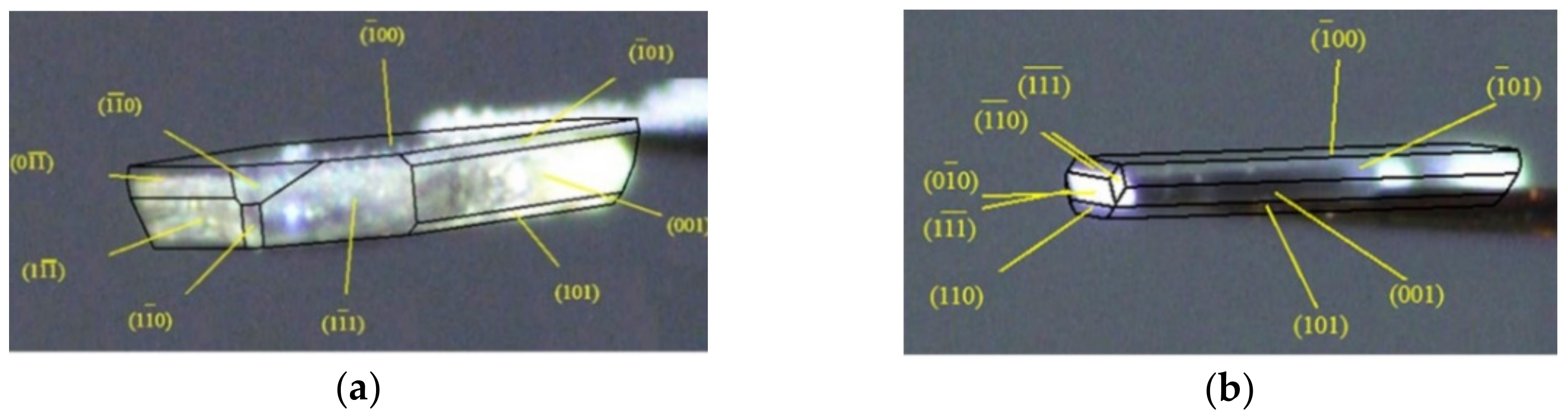 Molecules 26 03469 g004