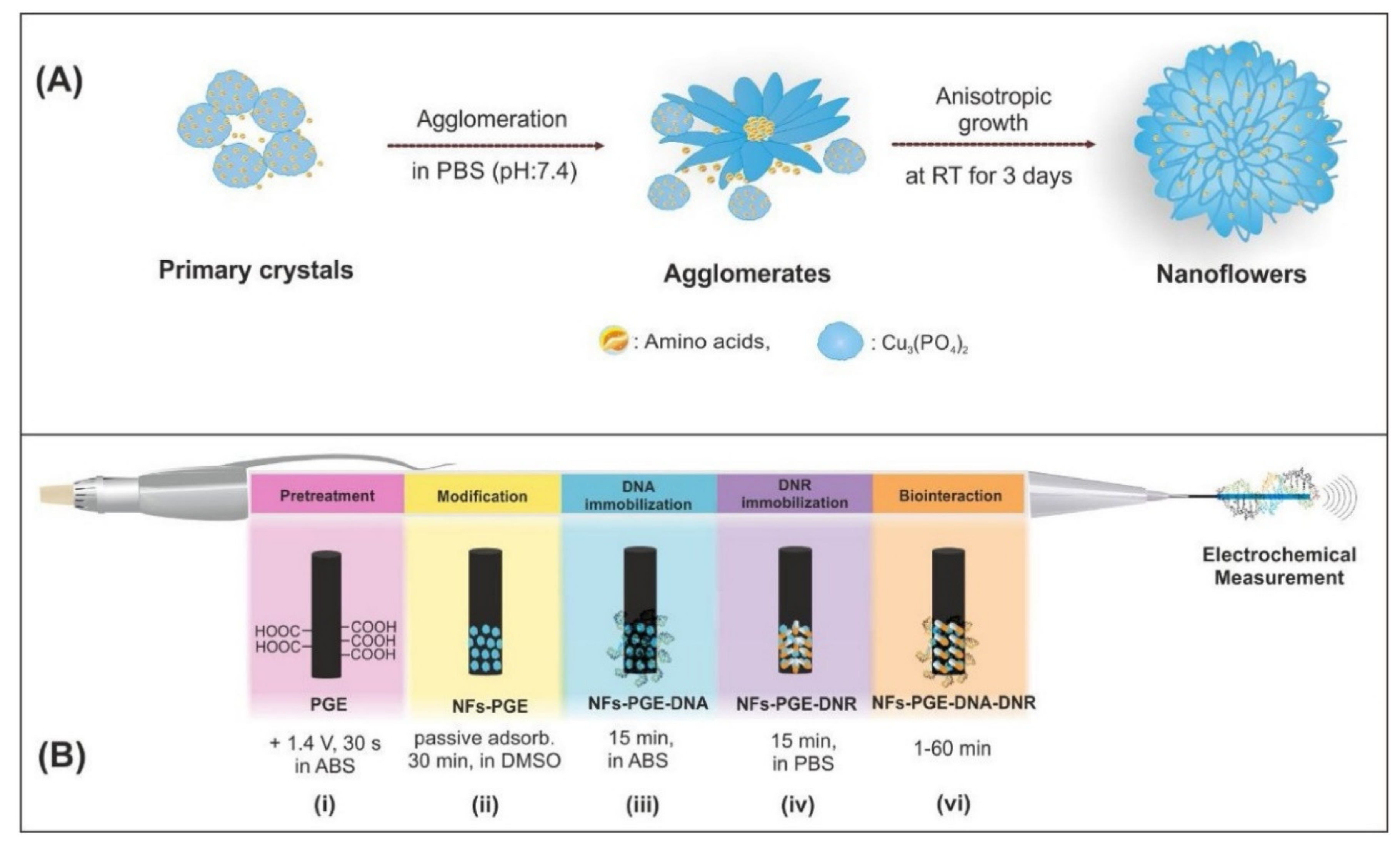 Molecules 26 03478 g006 Molecules 26 03478 g006