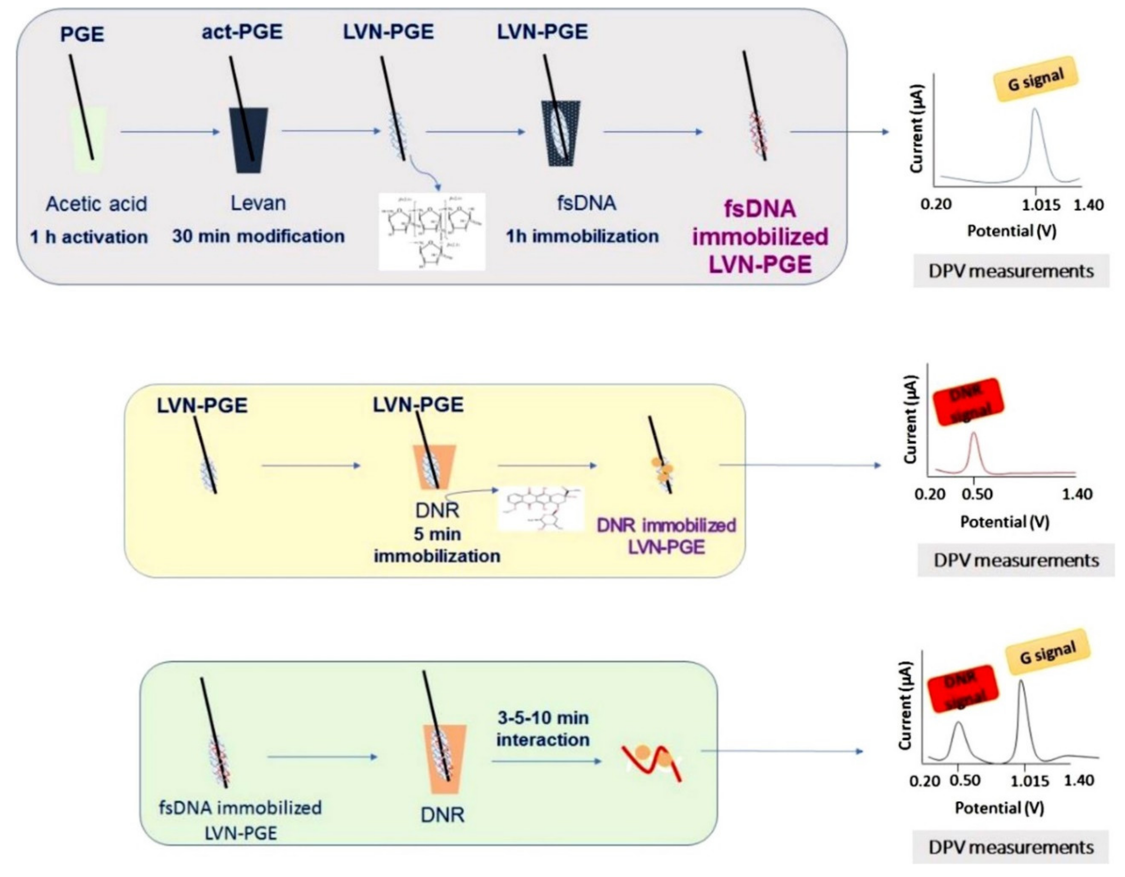 Molecules 26 03478 g008 Molecules 26 03478 g008