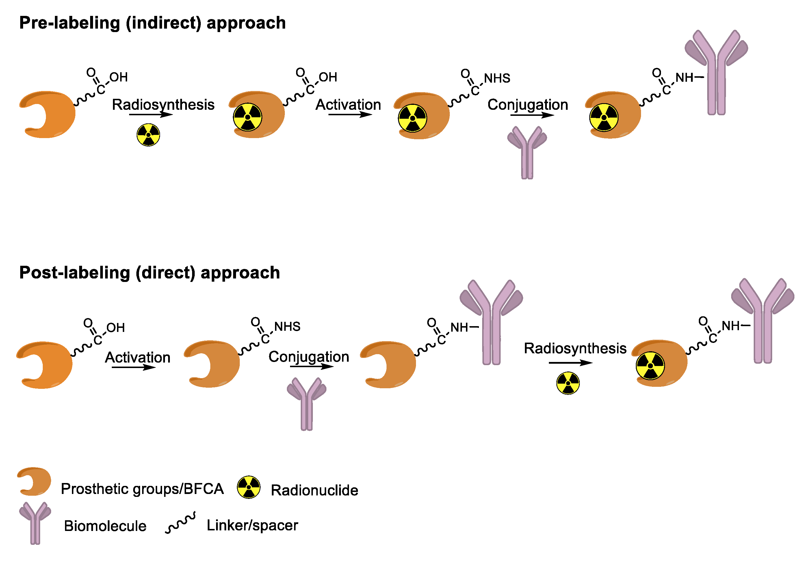 Molecules 26 03492 g001