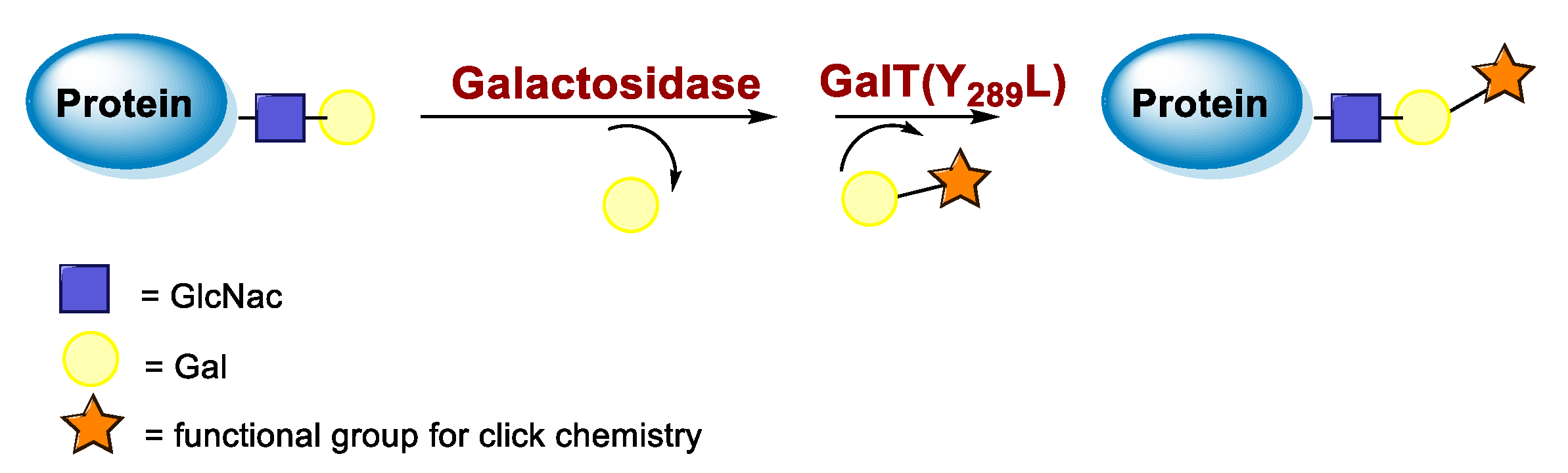 Molecules 26 03492 g004
