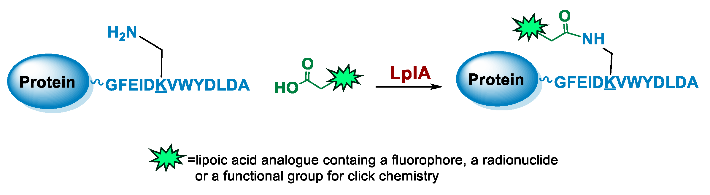 Molecules 26 03492 g005